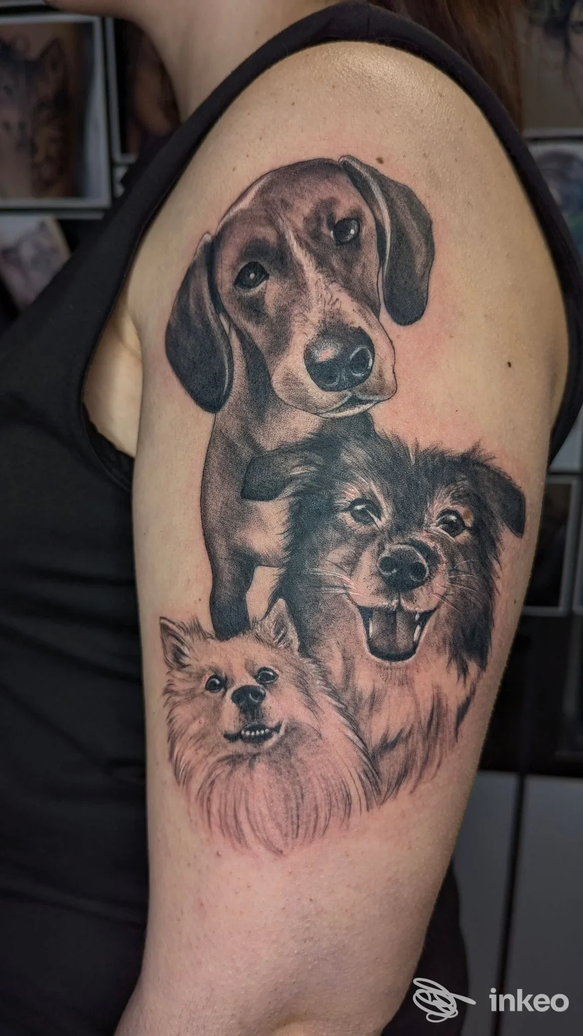 Tatuaggio realistico black & grey con tre ritratti di cani sul braccio superiore, TATUAGGI ARTISTICI VERBANIA, Pallanza.