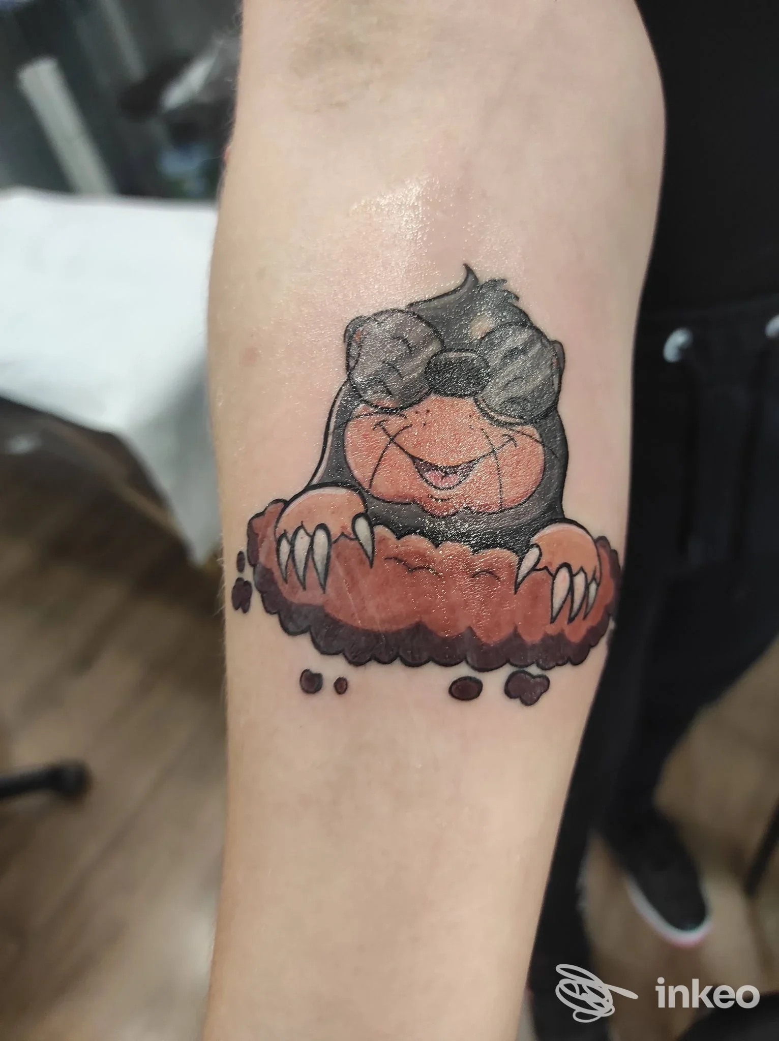 Tatuaggio colorato su avambraccio con personaggio in stile cartoon, foto fornita da Tati Tattoo Studio, Caselle Torinese.