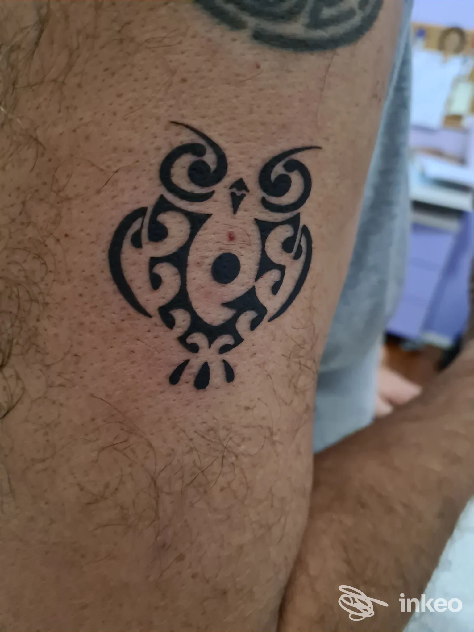 Piccolo tatuaggio tribale a forma di gufo sul braccio, realizzato da Tattoo Express a Torino.
