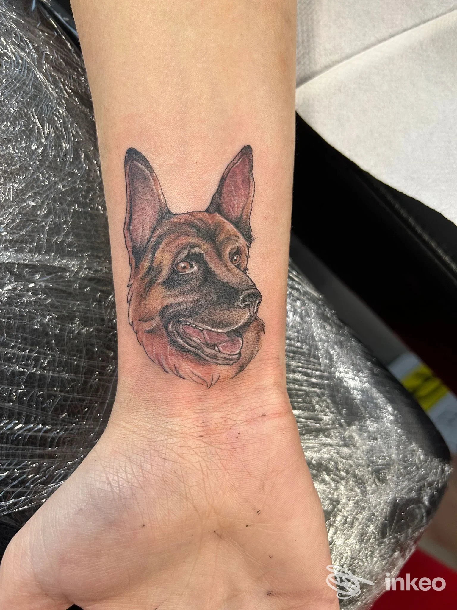 Tatuaggio realistico della testa di un cane sull'avambraccio, eseguito presso Strawberry ink tattoo studio, Nichelino.