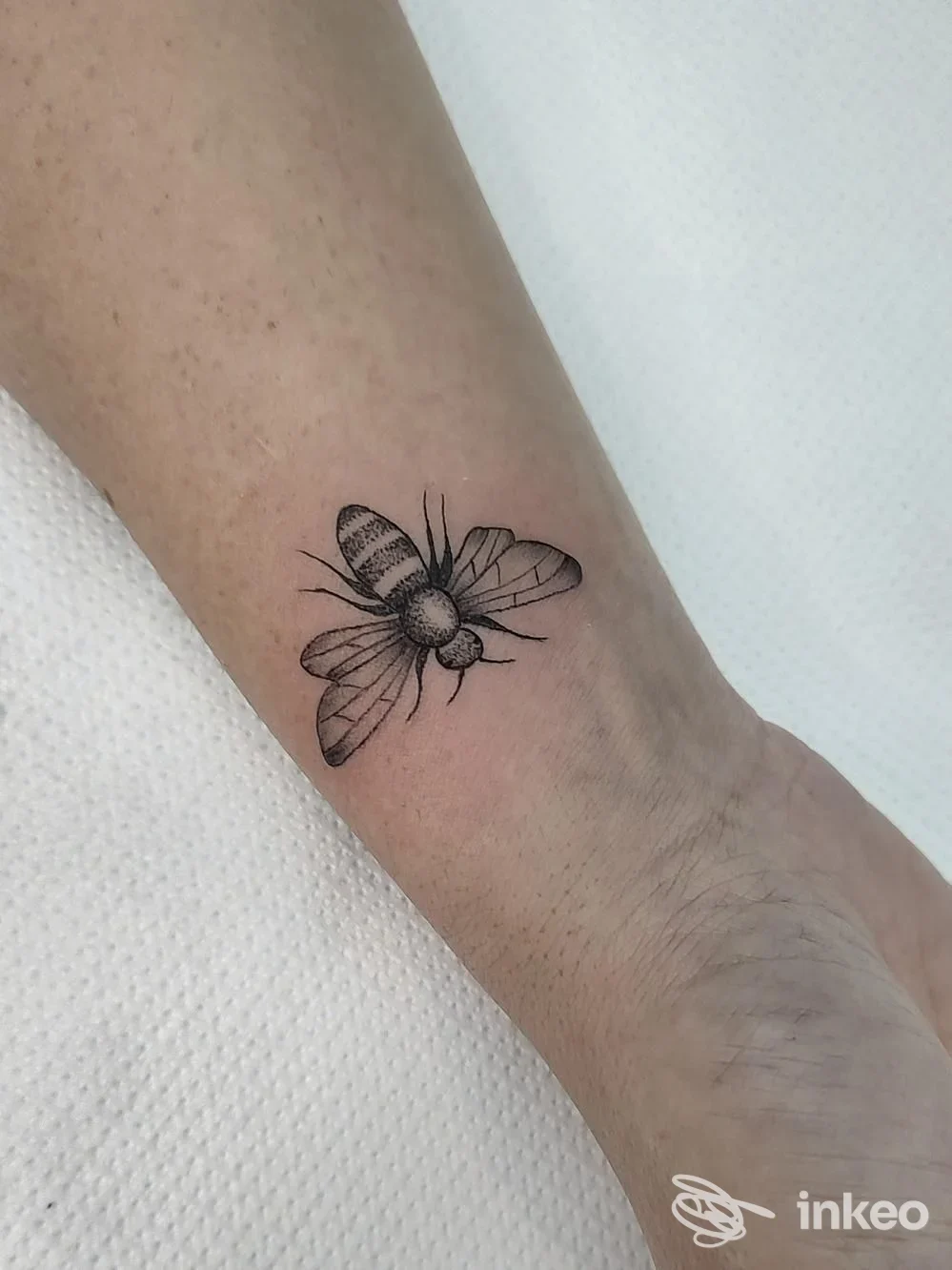 Tatuaggio nero a forma d'insetto sul polso, foto scattata su avambraccio; Taurinorum Tattoo Studio Museum, Torino.