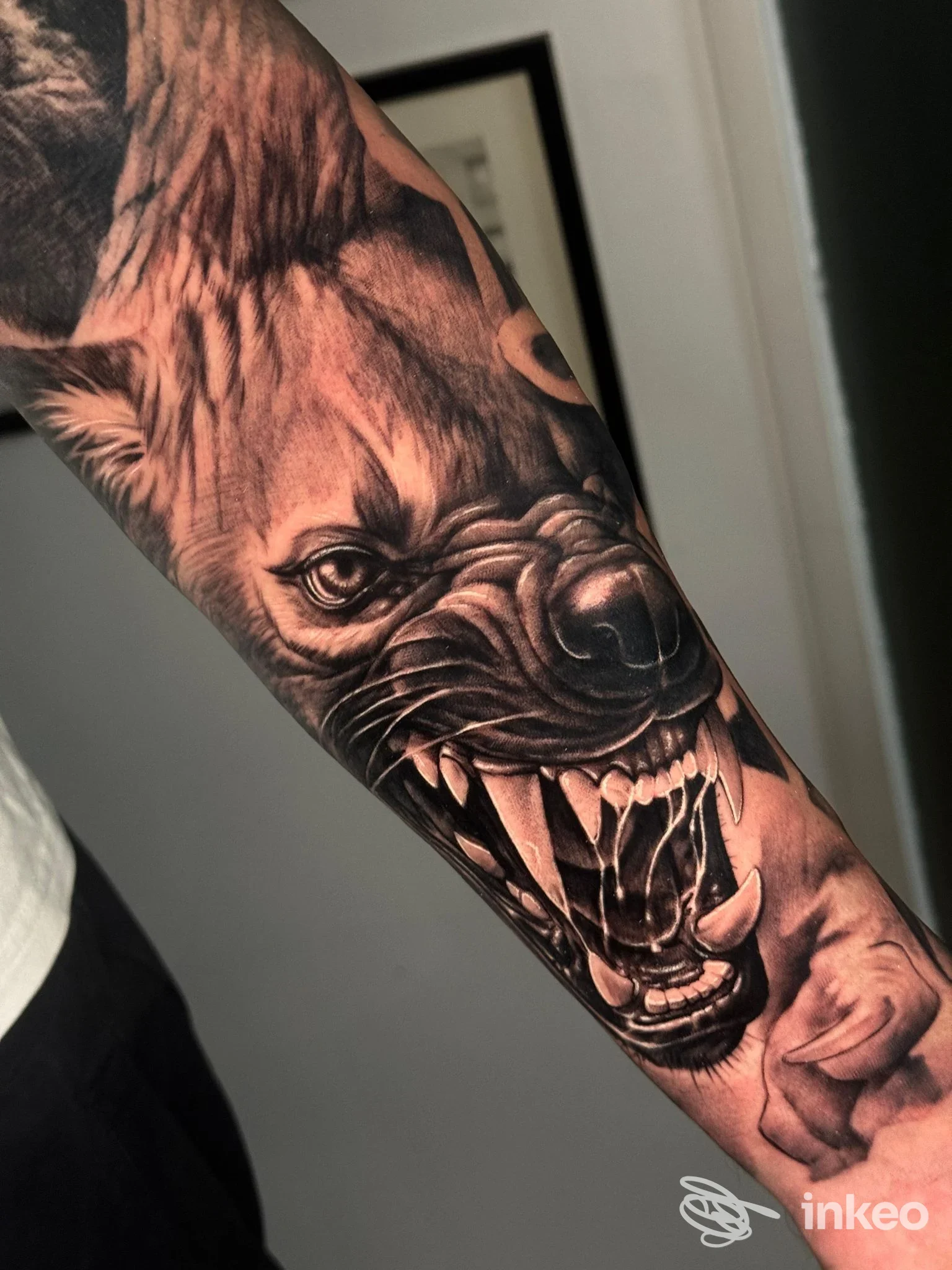 Primo piano di avambraccio con tatuaggio realistico di lupo ringhiante, foto per The Kingdom Tattoo Studio ad Alessandria.