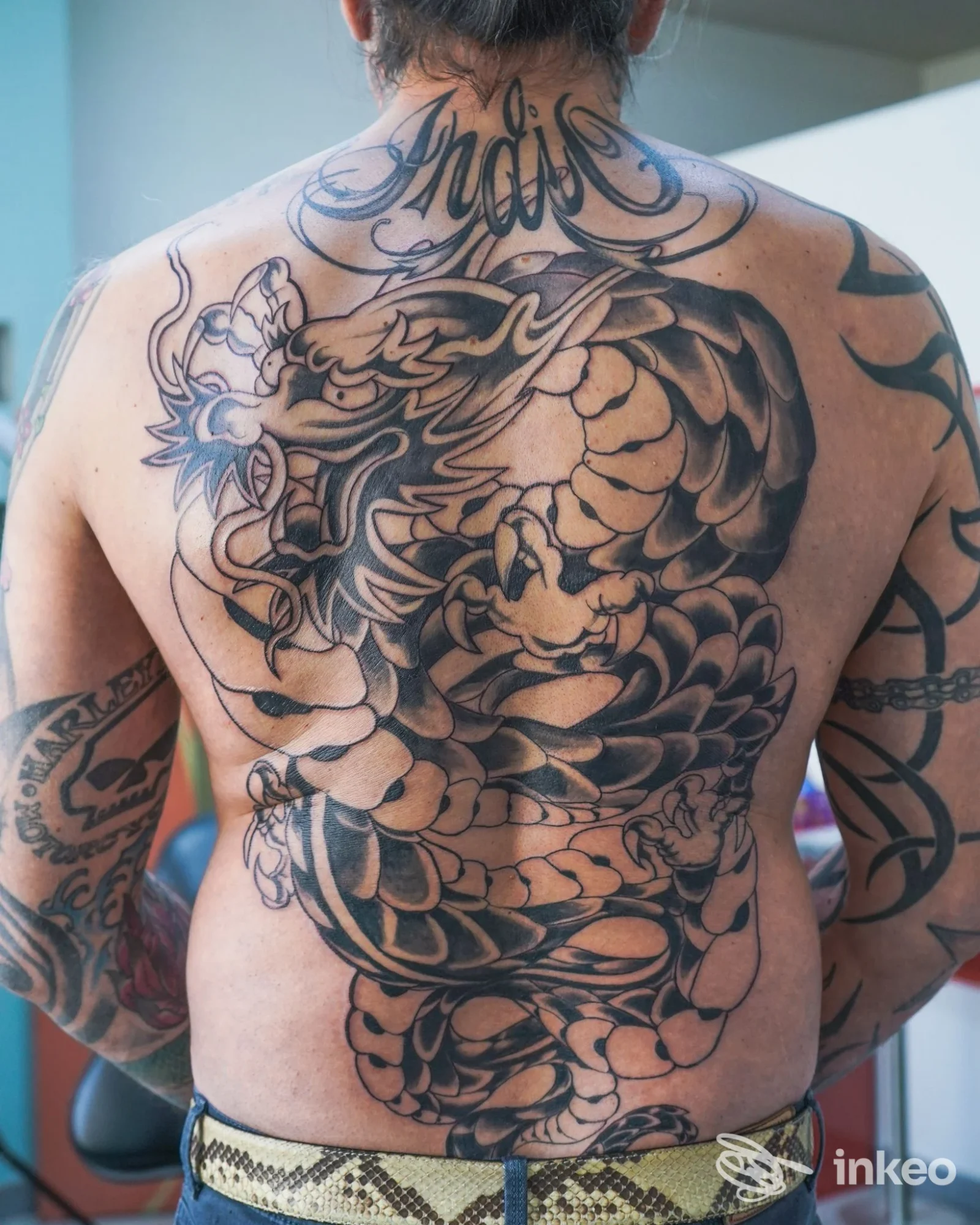 Grande tatuaggio a drago che ricopre la schiena di una persona, immagine fornita da Ursulart Tattoo a Caramagna Piemonte.