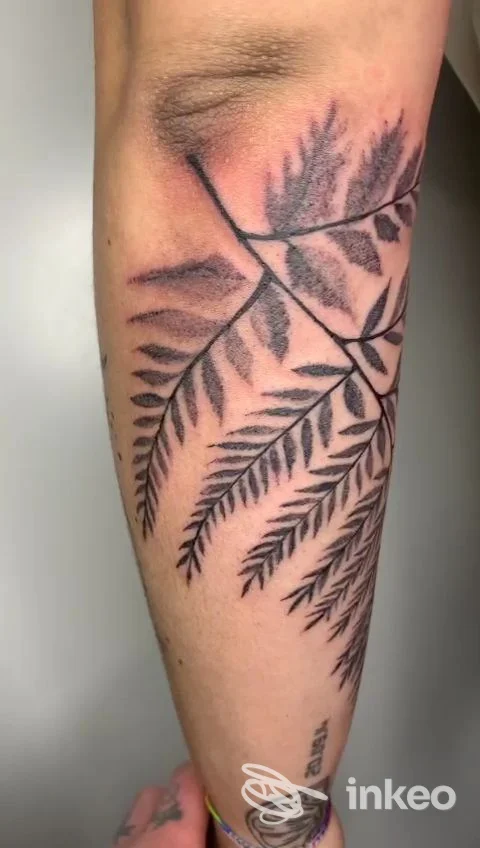 Primo piano di avambraccio con tatuaggio a felce in nero e grigio, realizzato da Ziogianni Tattoo a Torino.