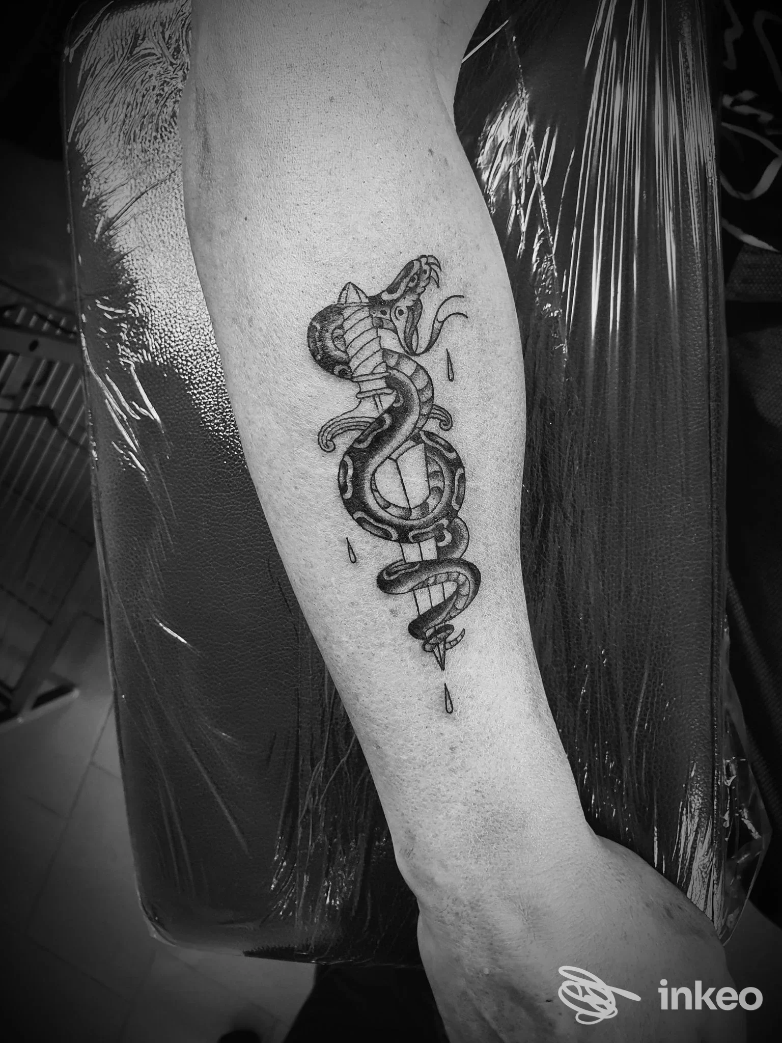 Tatuaggio a inchiostro nero di un serpente sull'avambraccio, foto fornita da ALKEMIK INK TATTOO - Studio Tattoo Canavese, Castellamonte.