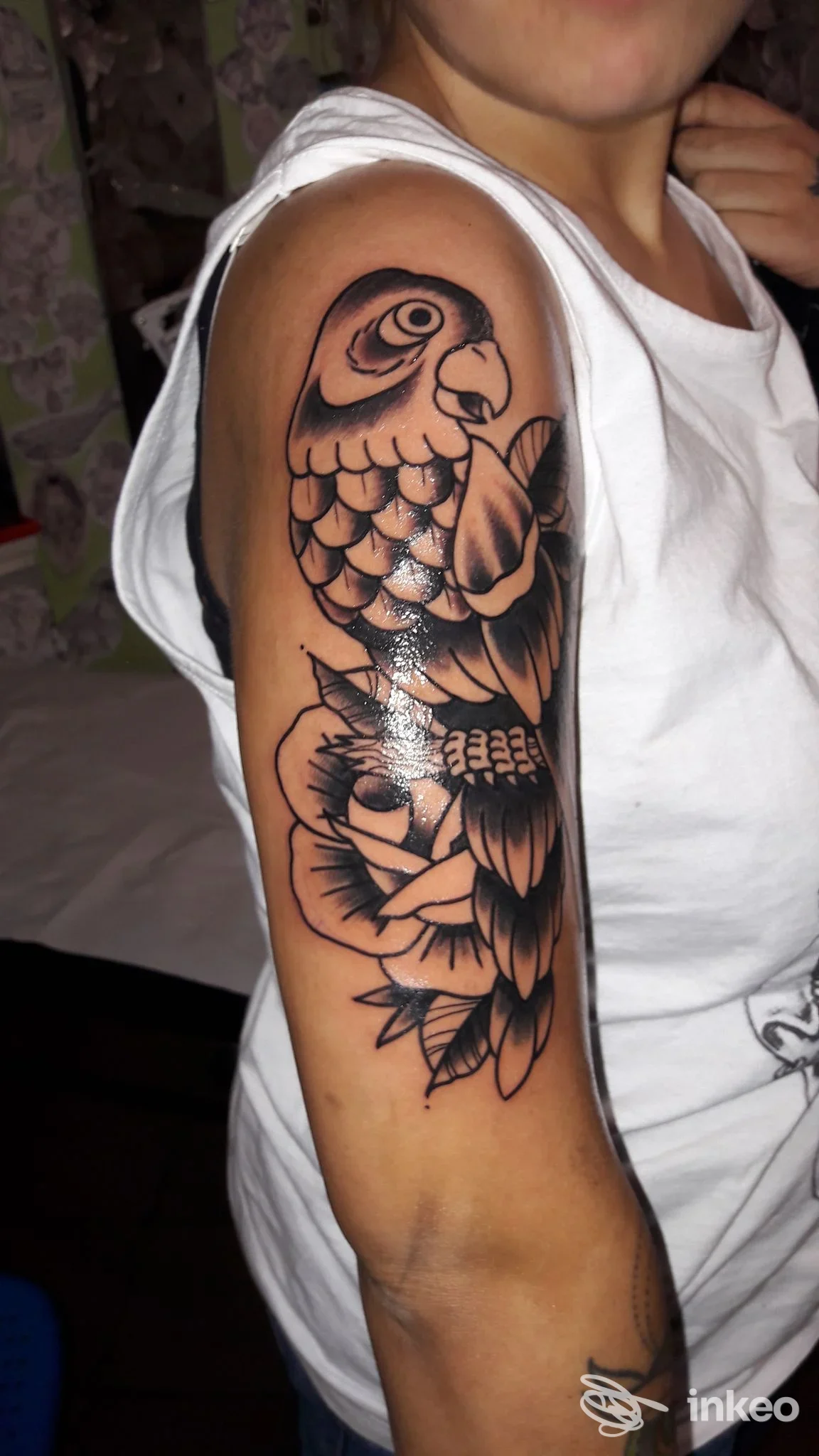 Tatuaggio a inchiostro nero di un pappagallo sul braccio superiore, foto fornita da Born To Bleed Tattoo Shop, Novara.