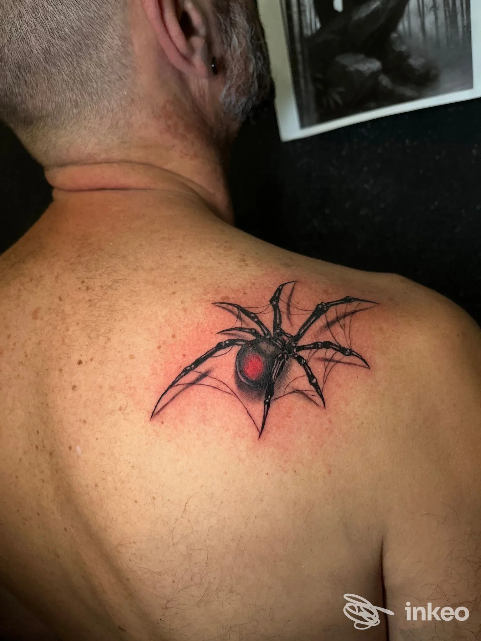 Tatuaggio di un ragno nero con riflesso rosso sulla spalla destra di un cliente, Kingdom Ink Tattoo Studio, Torino.