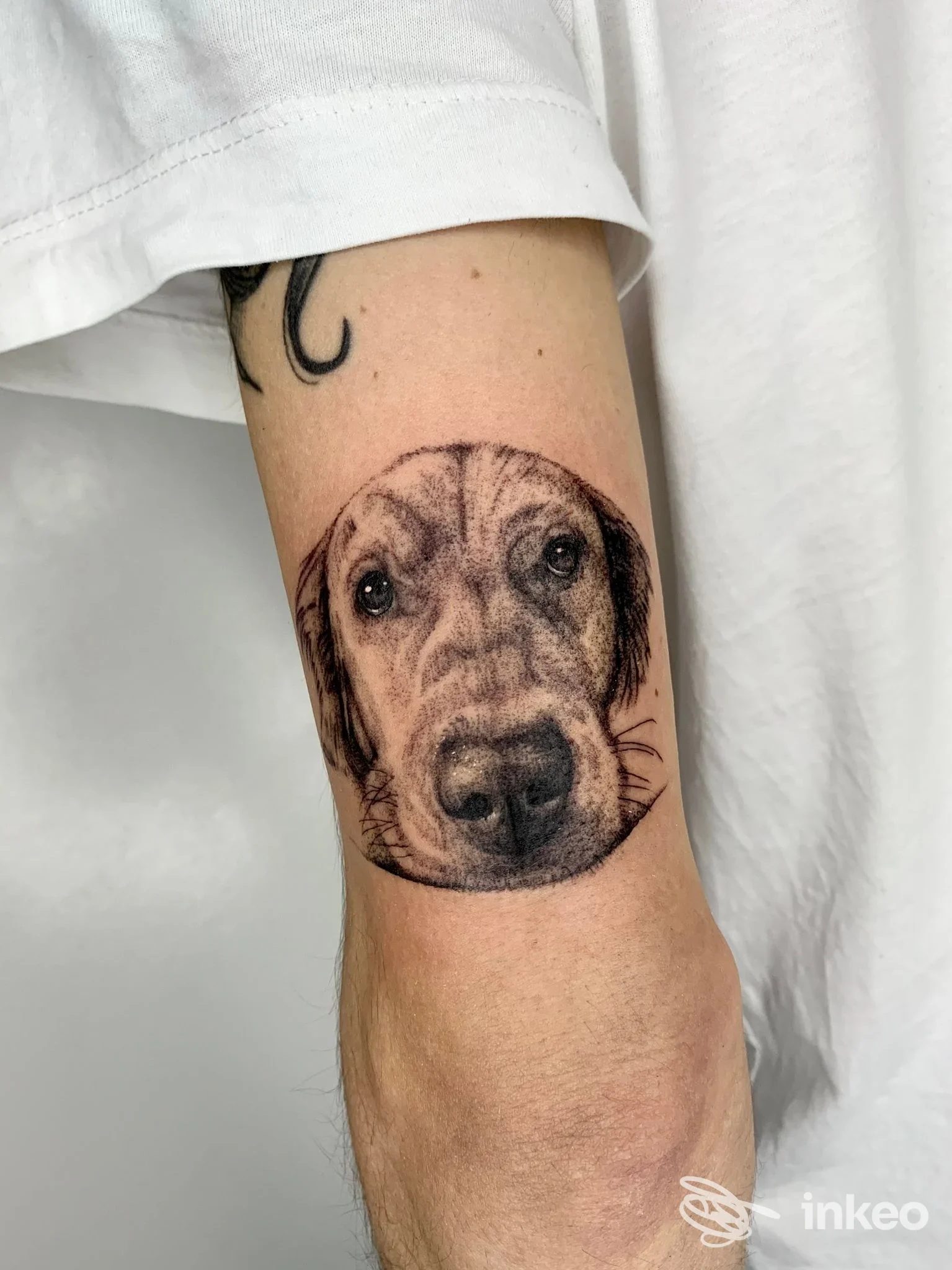 Tatuaggio ritratto in bianco e nero di un cane sull'avambraccio, foto fornita da LOV Tattoo Studio a Caselle Torinese.