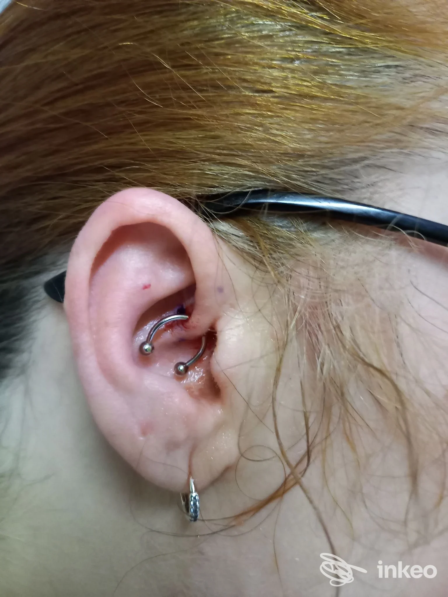 Primo piano dell'orecchio con due piercing nella cartilagine e un cerchietto al lobo; La Crisalide Piercing, Torino.