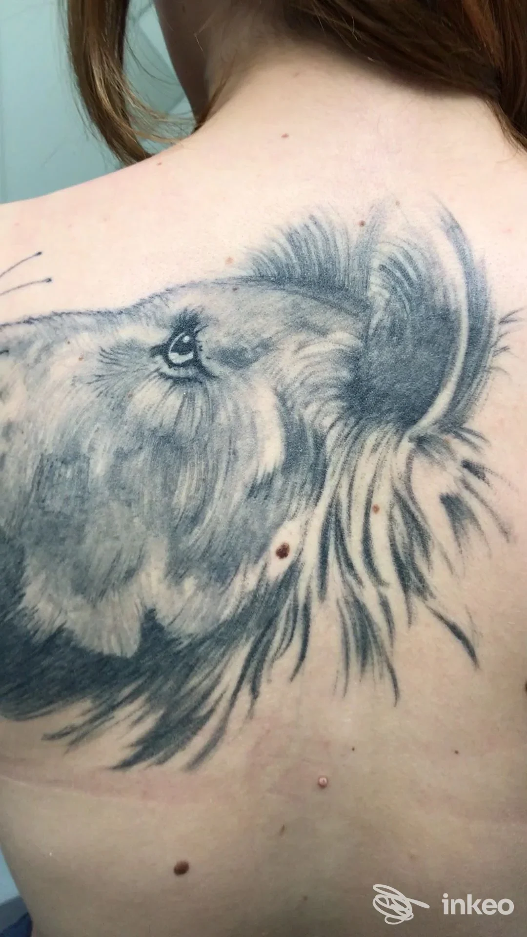 Grande tatuaggio in bianco e nero del muso di un animale sulla parte superiore della schiena, foto fornita da Mauri's Tattoo & Gallery, Borgomanero.