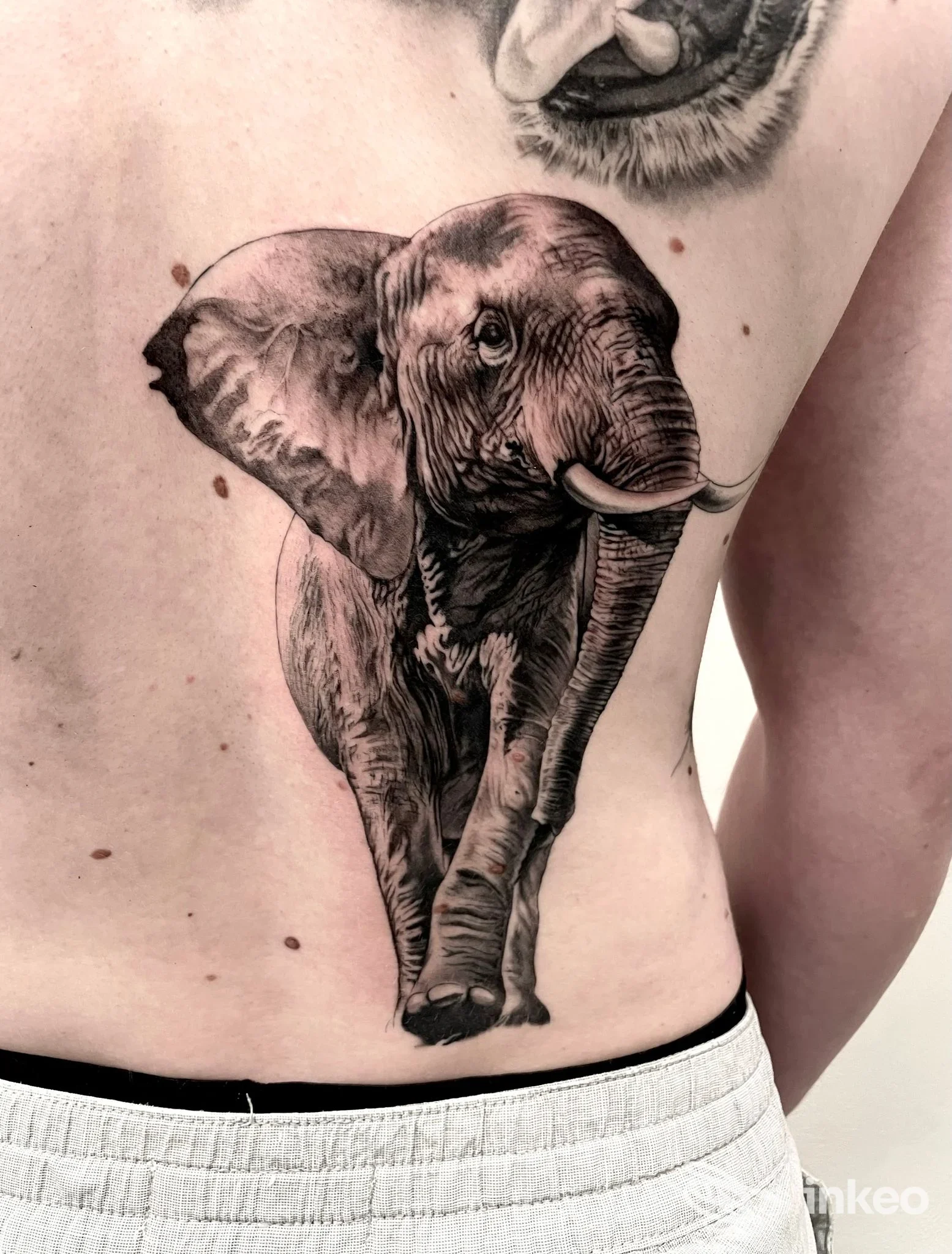 Grande tatuaggio realistico di elefante sul fianco di una persona, opera condivisa da Mementovivitattoo a Intra.