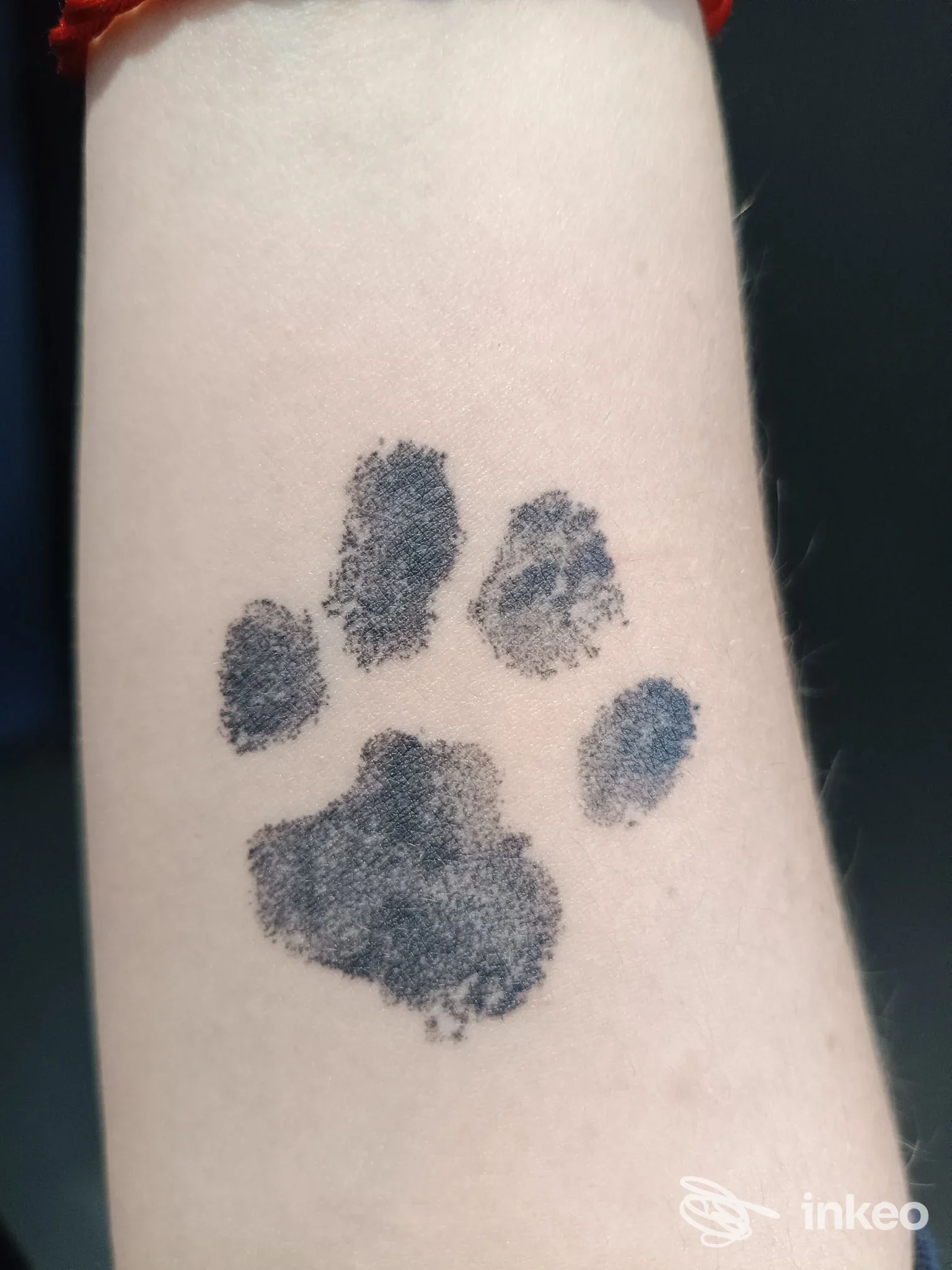 Impronta di zampa tatuata in nero sull'avambraccio, foto inviata da Sanguenero Tattoo Shop, Pino Torinese.