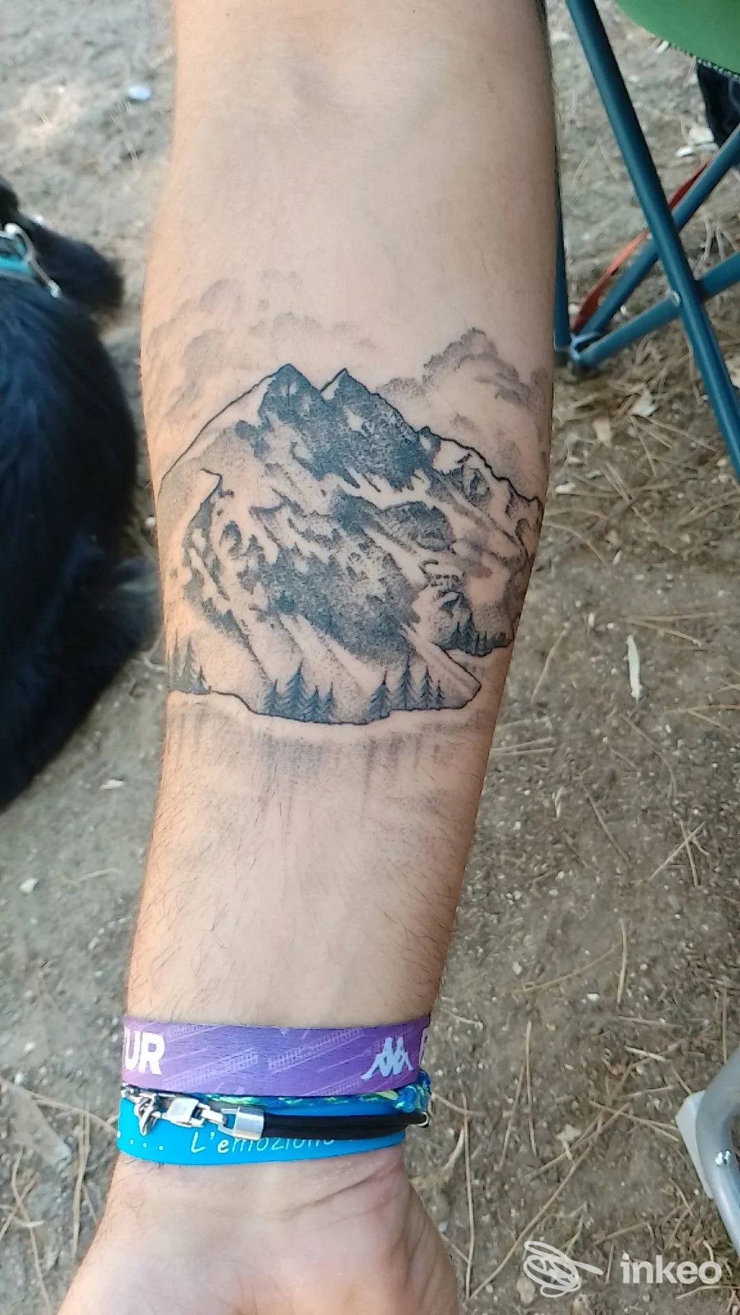 Tatuaggio di montagne in stile blackwork sull'avambraccio, foto inviata da Tiga Tattoo Studio, Torino.