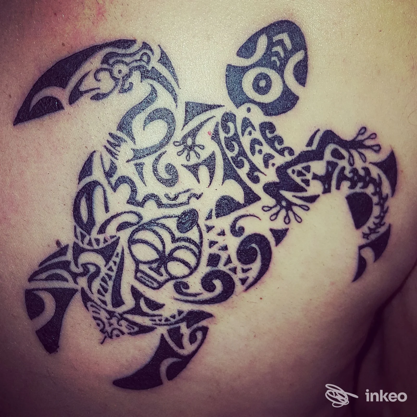 Tatuaggio tartaruga in stile tribale nero su pelle, scatto ravvicinato eseguito da SKIN DEEP tattoo studio a Putignano.