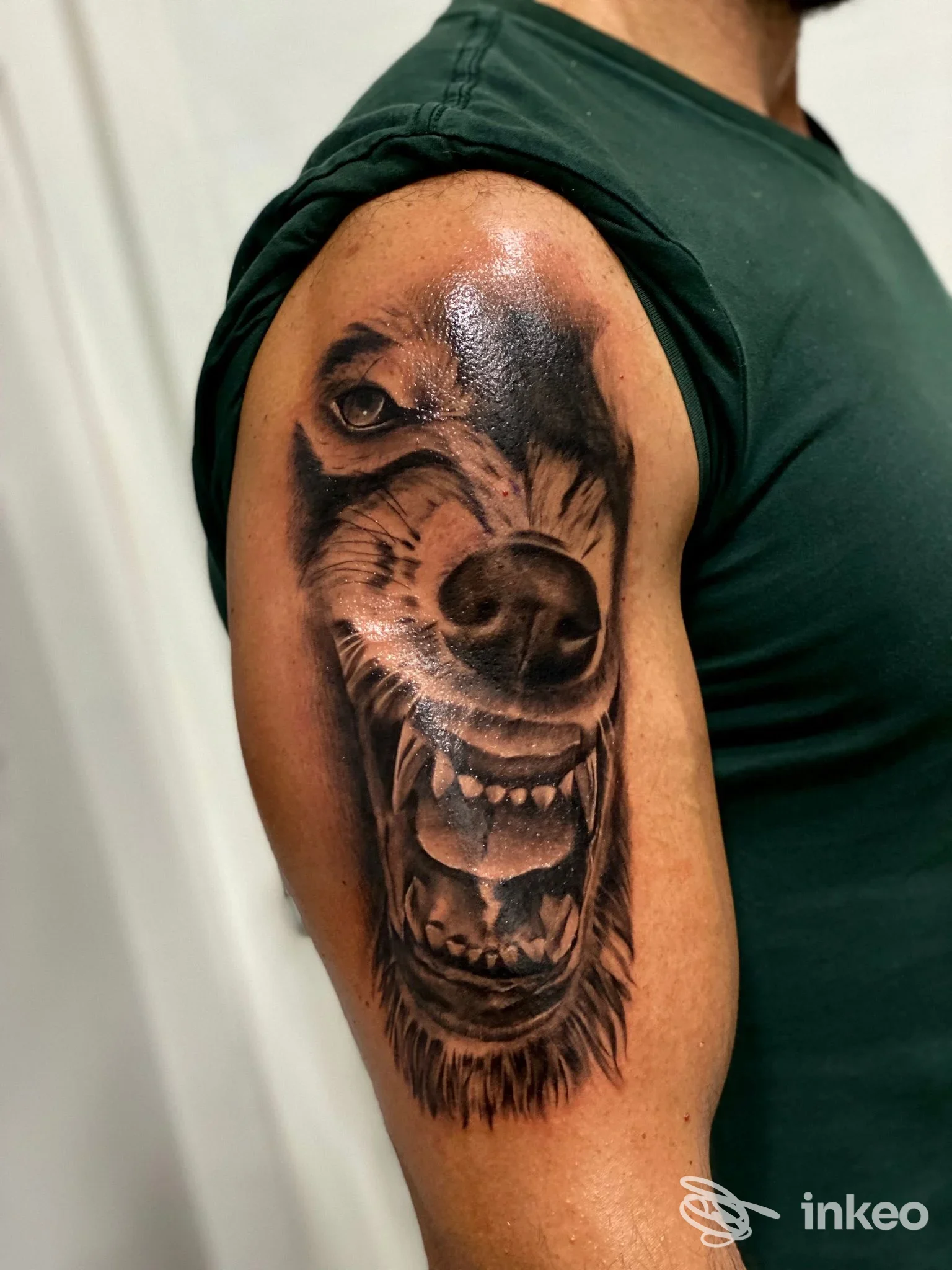Tatuaggio realistico di un lupo ringhiante sul deltoide di un cliente, foto fornita da Sailor Ink Tattoo, Brindisi.