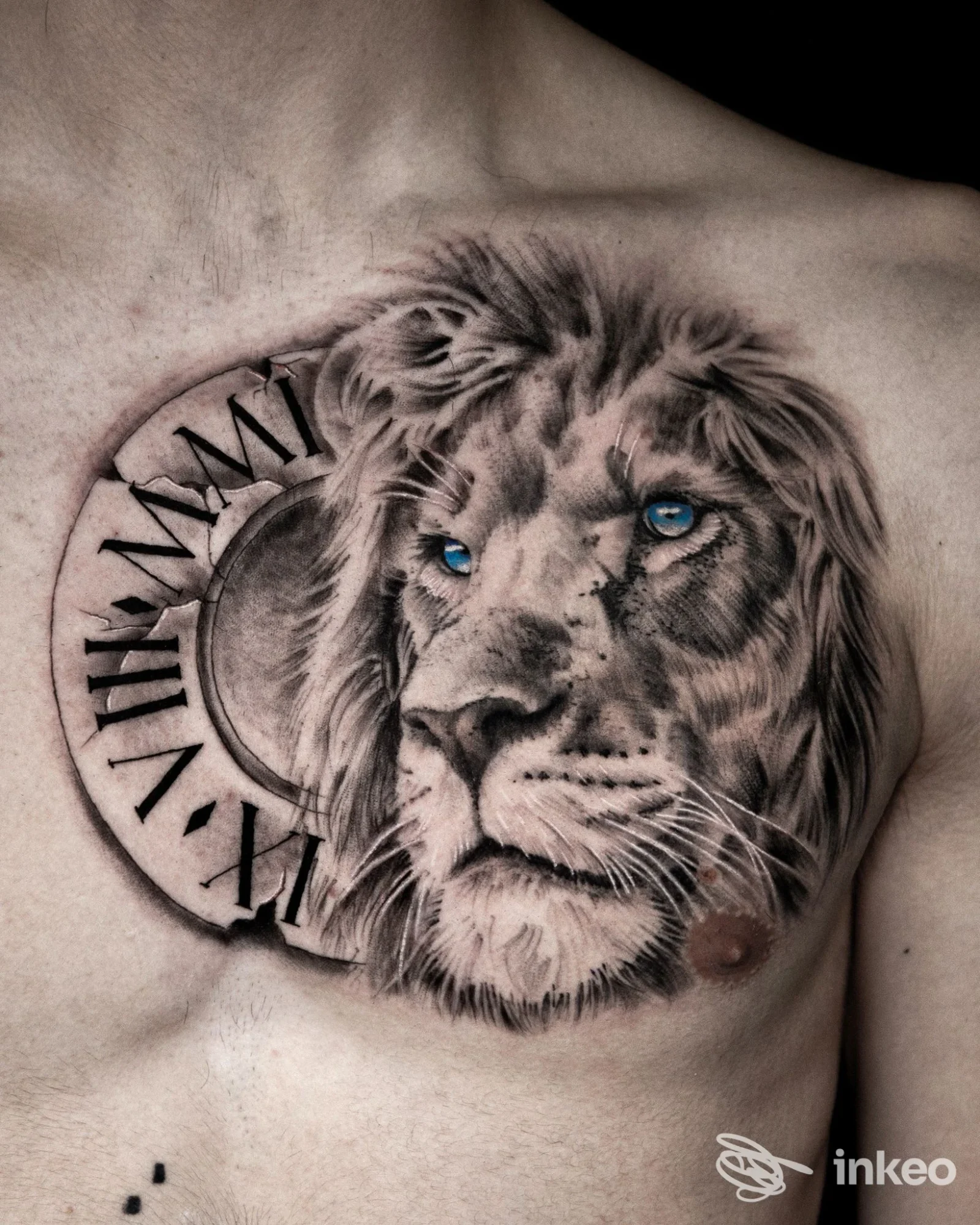 Tatuaggio realistico di leone sul pettorale sinistro, occhi blu, foto inviata da Star Tattoo di Isa Mellone a Locorotondo.