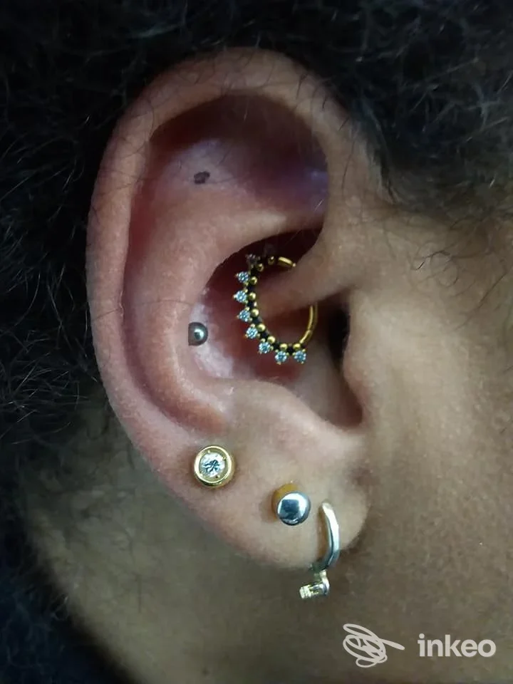 Primo piano di un orecchio con più piercing (conca e lobo), foto fornita da Studio Piercing Polacca, Taranto.