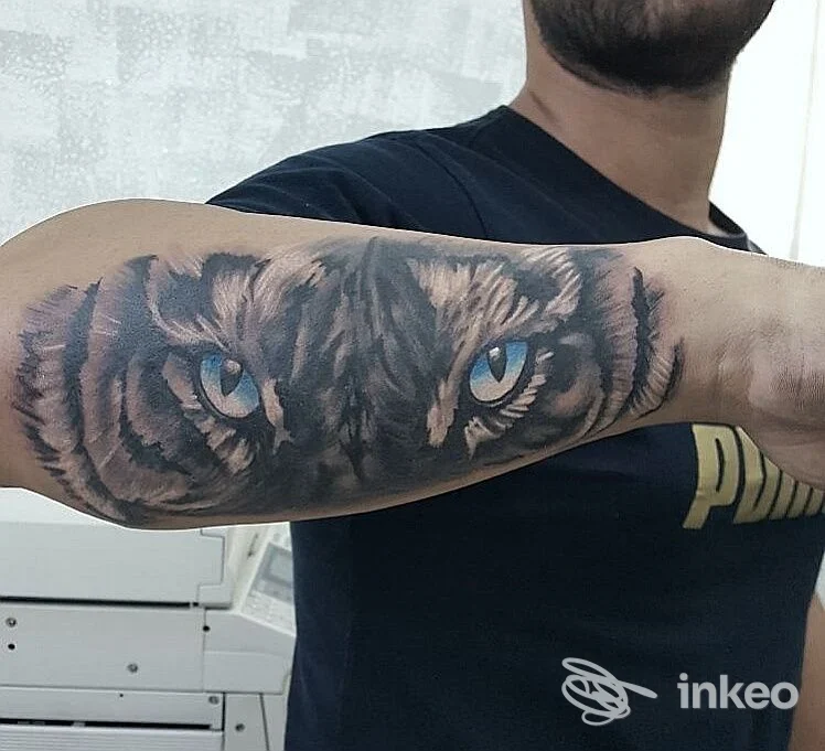 Tatuaggio realistico occhi di tigre sull'avambraccio, foto fornita da Sublime Tattoo a Taurisano.