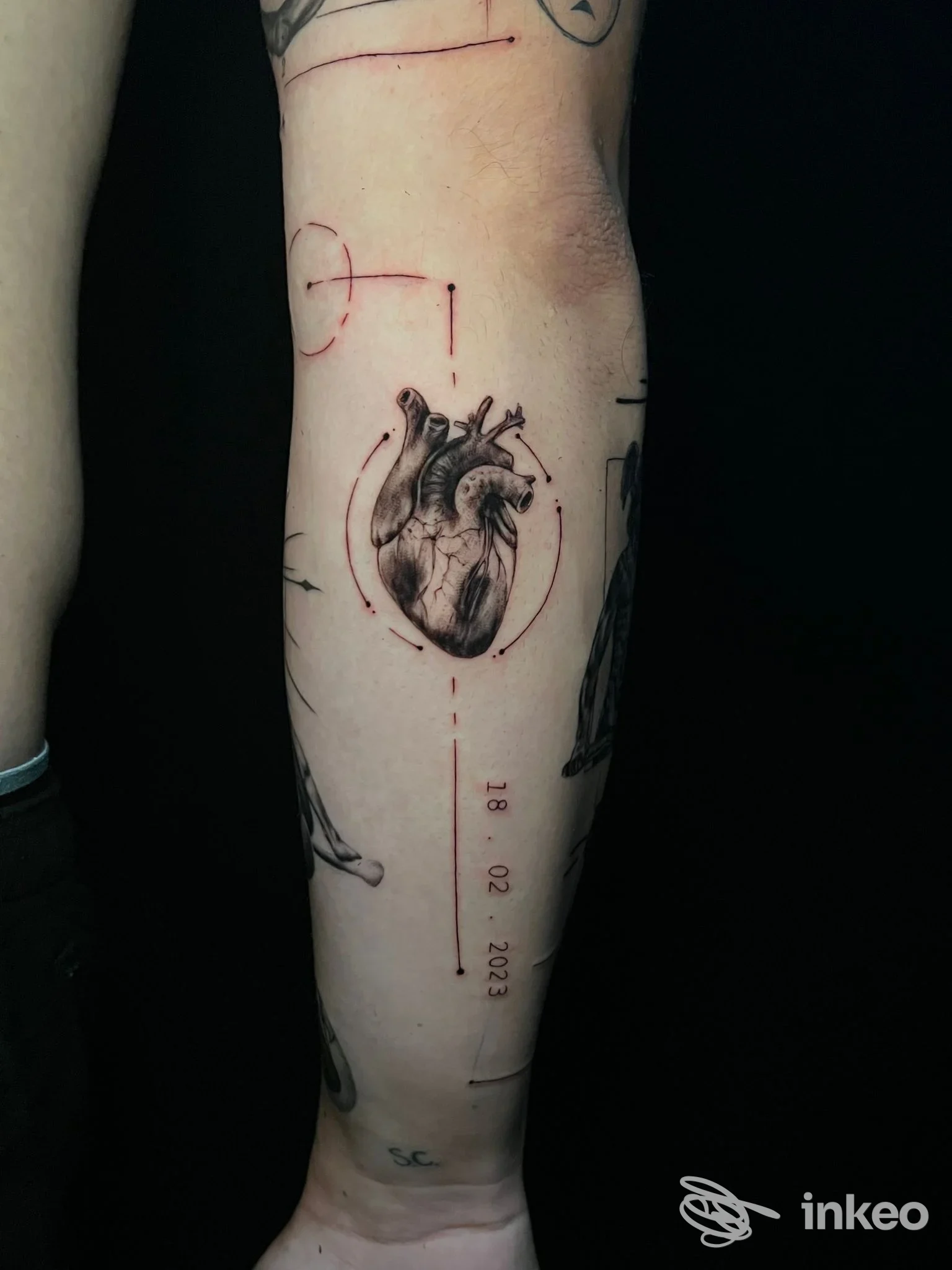 Tatuaggio realistico di un cuore anatomico sull'avambraccio, Tatuaggificio di Saverio Damiani, Bari.