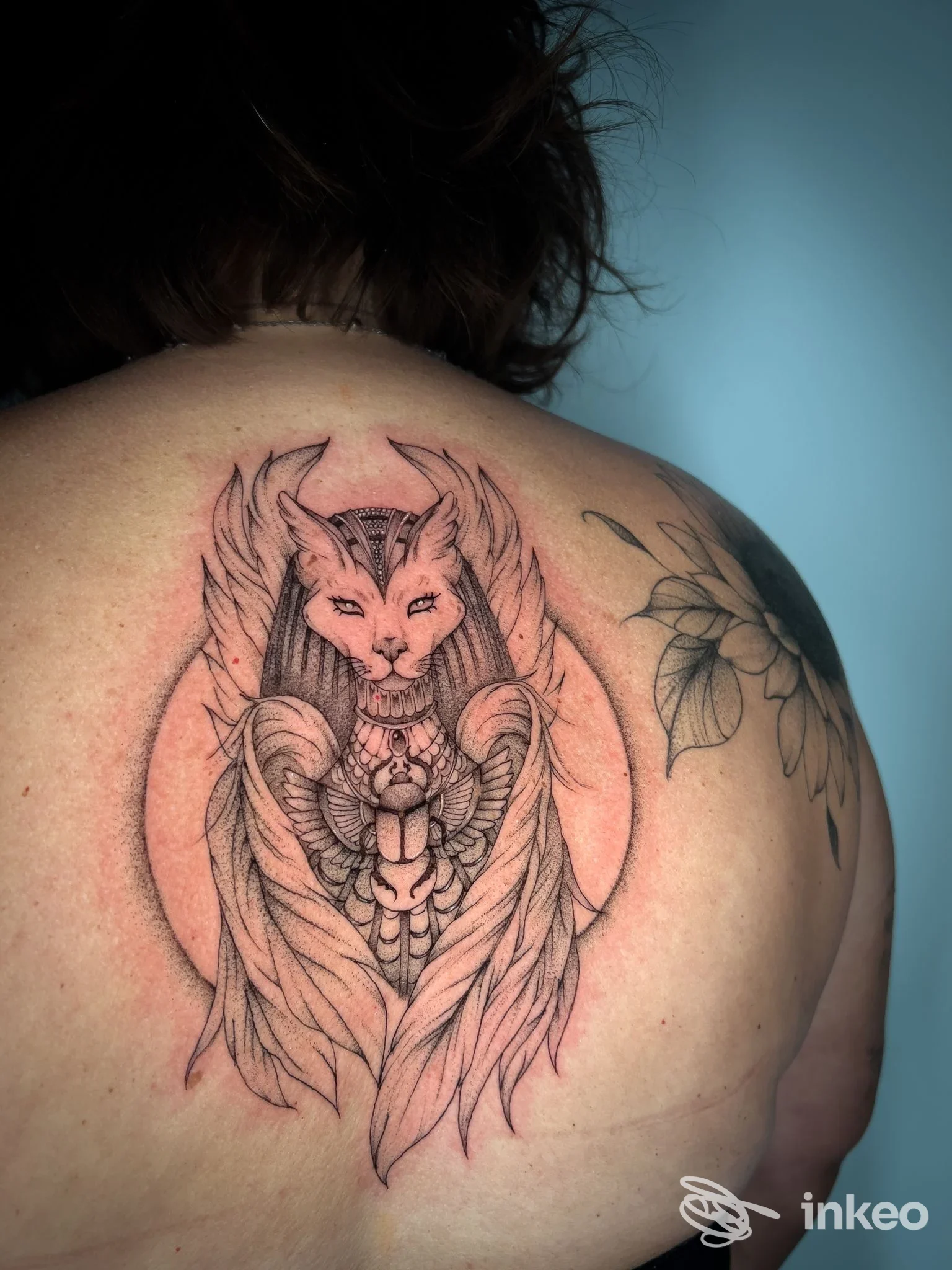 Tatuaggio su parte superiore della schiena raffigurante figura felina alata, The Black Tattoo, Putignano.
