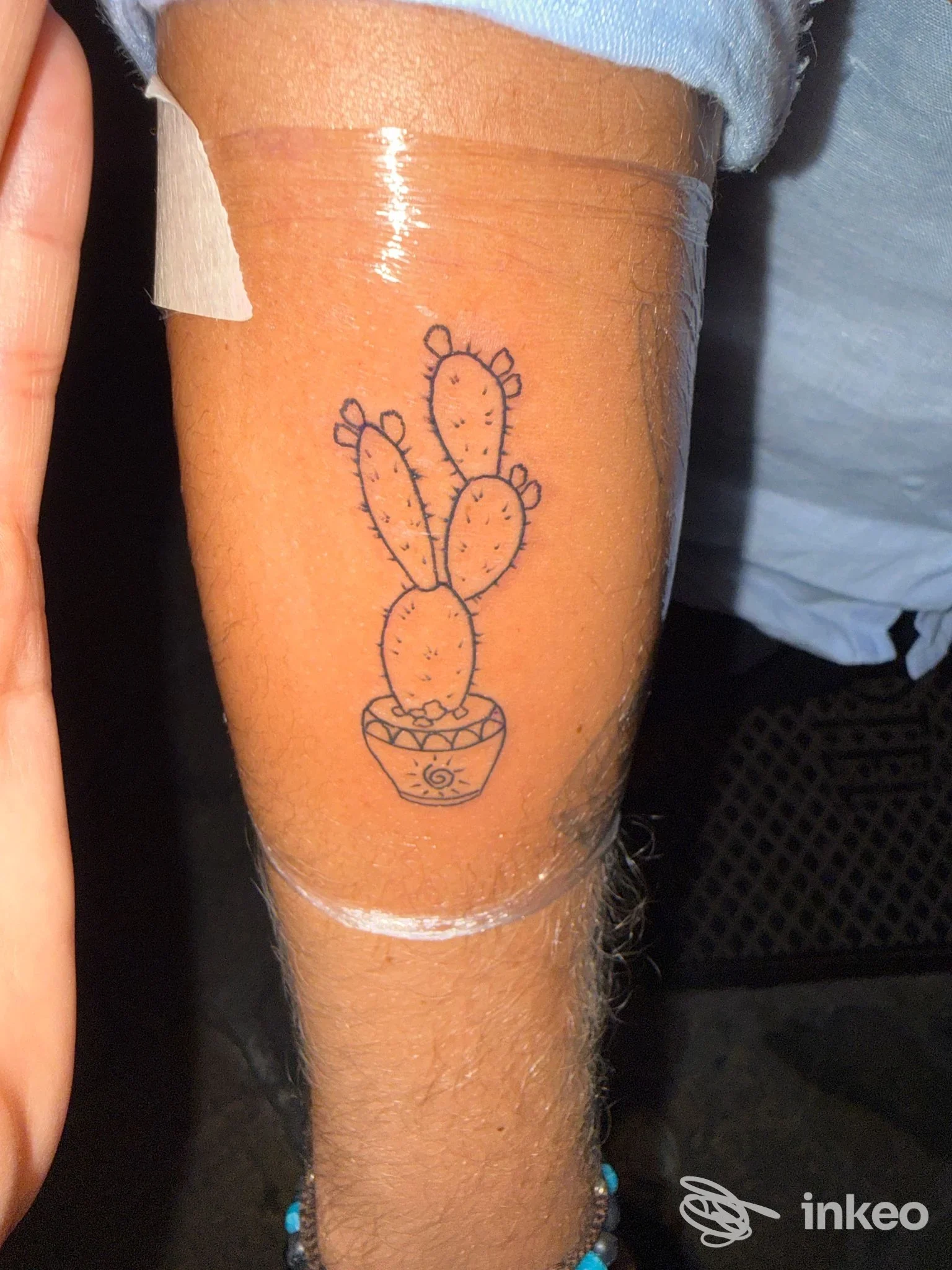 Piccolo tatuaggio minimal di un cactus in vaso sull'avambraccio, lavoro mostrato da Tiger rider tattoo downtown, Lecce.
