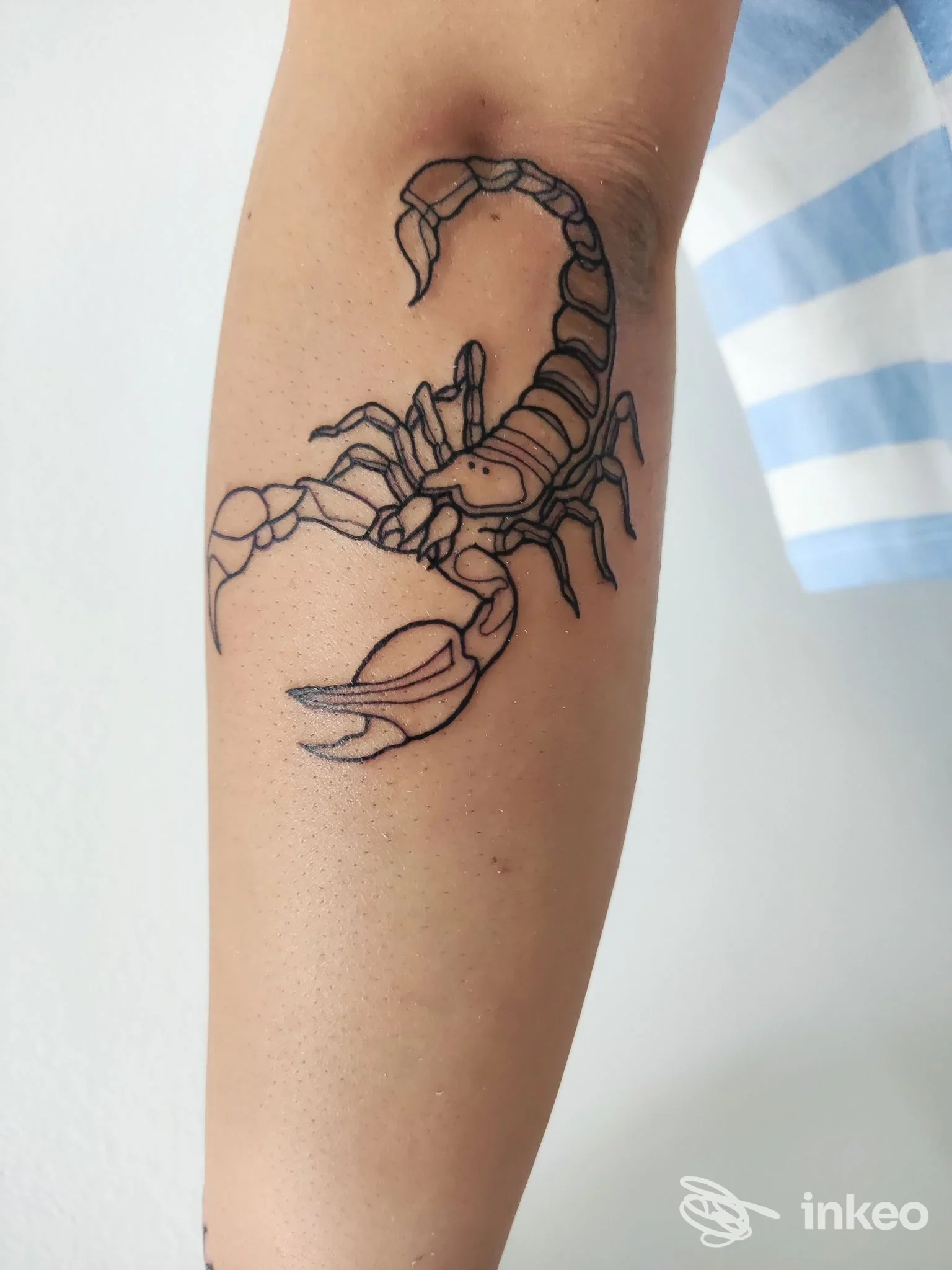 Tatuaggio a linee nere di uno scorpione sull'avambraccio, foto documentale — Time Of Tattoo, Taviano.