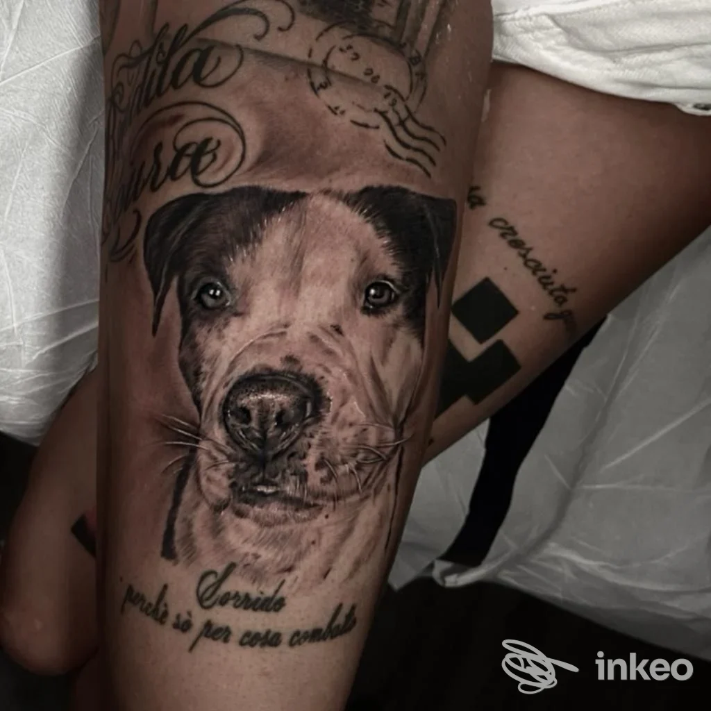 Tatuaggio realistico di un cane sulla pelle del braccio, con testo decorativo, realizzato nello studio Pink Parlour Tattoo Studio a Cassano d'Adda.