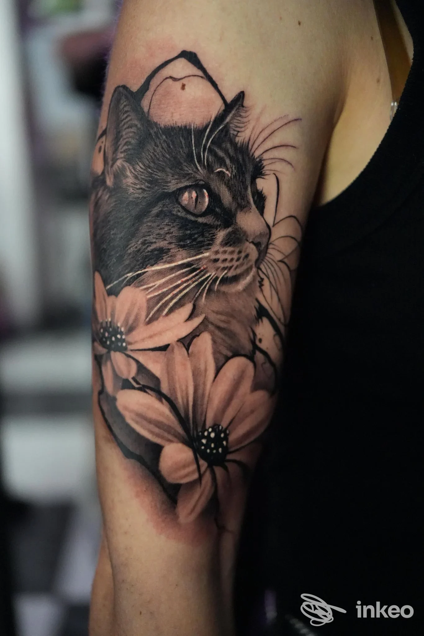 Tatuaggio realistico di un gatto con margherite sull'avambraccio, foto inviata dallo studio Tendenze Tattoo a Veglie.