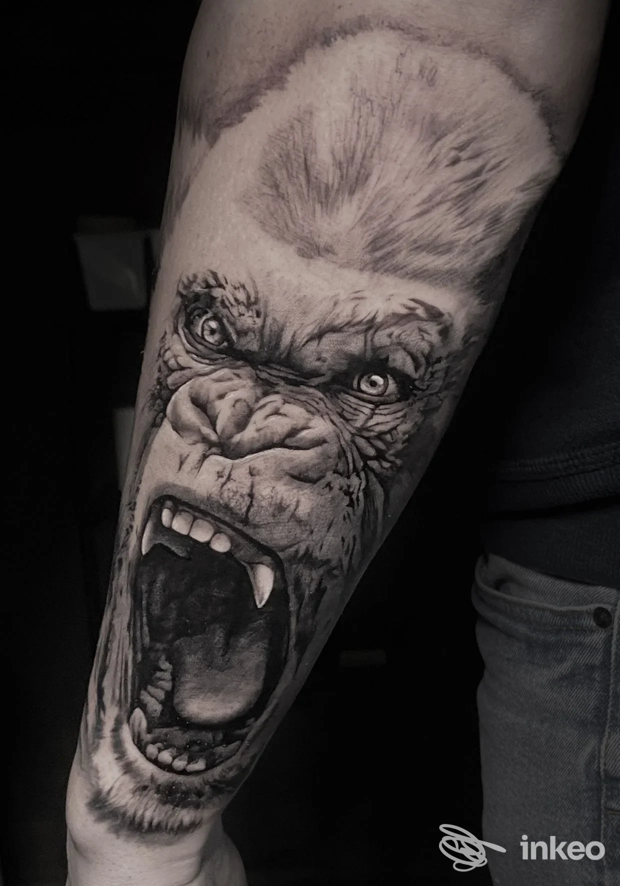 Tatuaggio realistico in bianco e nero di una testa di gorilla urlante sull'avambraccio, Will Tattoo 1st, Bari.