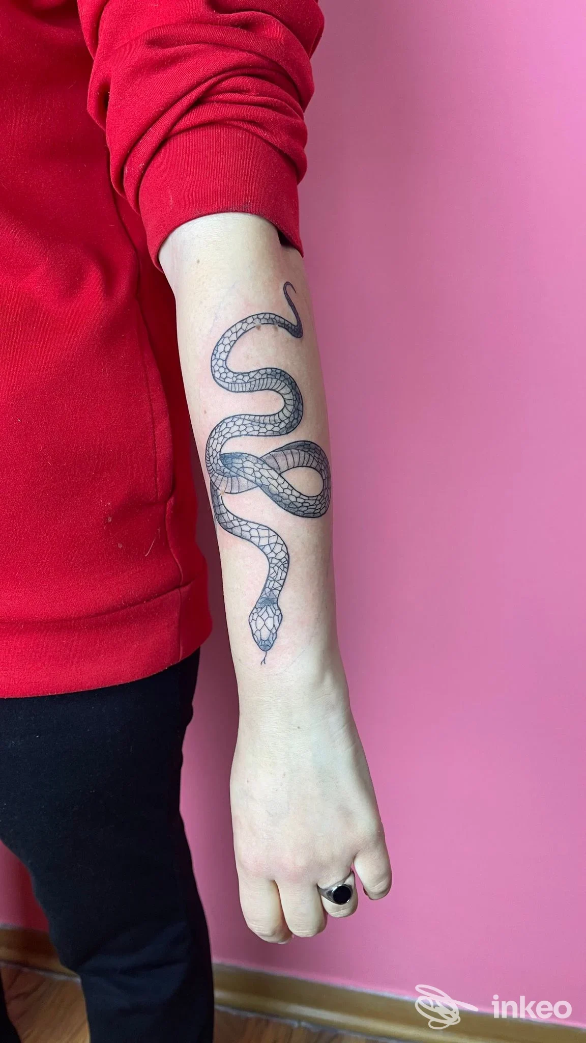 Tatuaggio serpente in bianco e nero su avambraccio, foto inviata da Wonderland tattoo studio a Lucera.