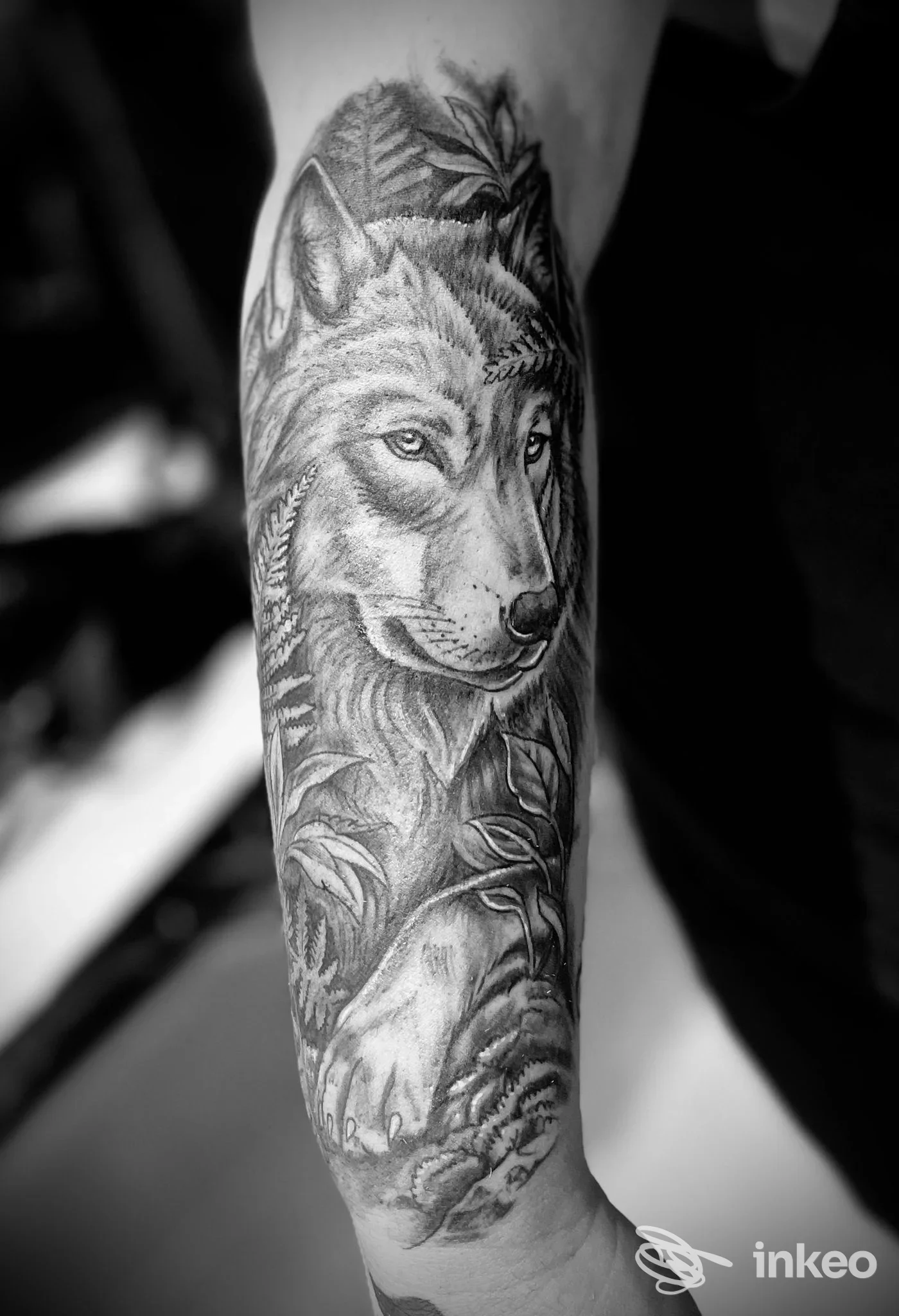 Avambraccio con tatuaggio realistico in bianco e nero raffigurante un lupo; immagine fornita da Alex Tattoo, Lecce.