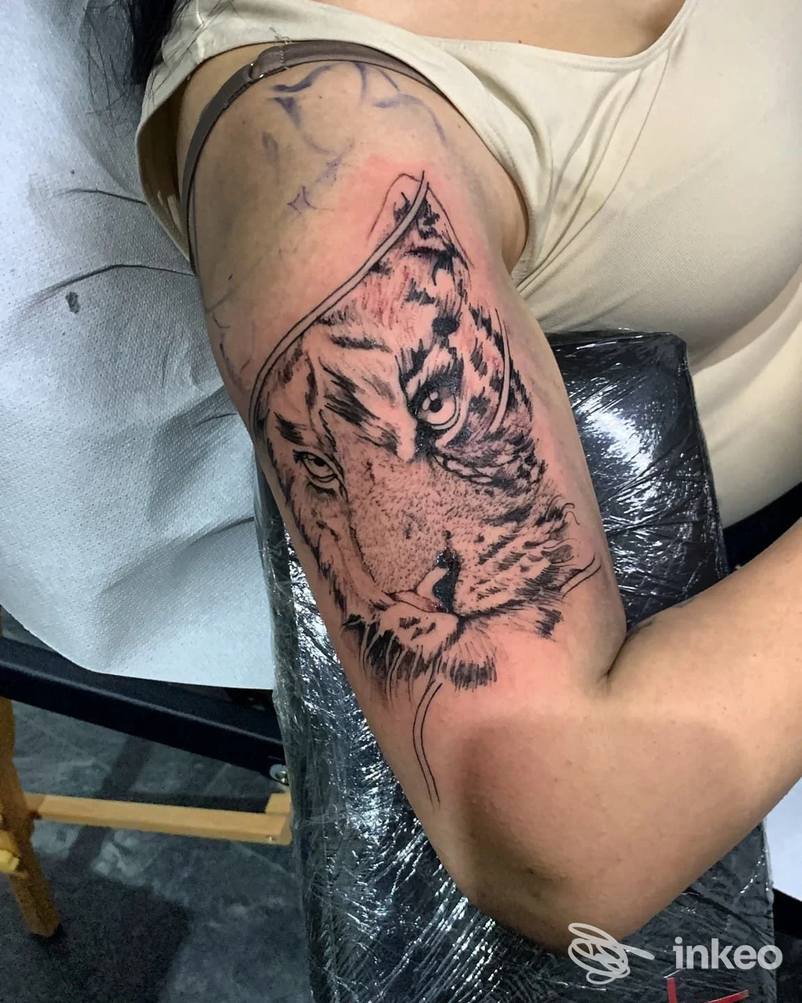 Tatuaggio del volto di una tigre sul braccio superiore, lavoro in corso eseguito da Alex Tattoo a Taranto.