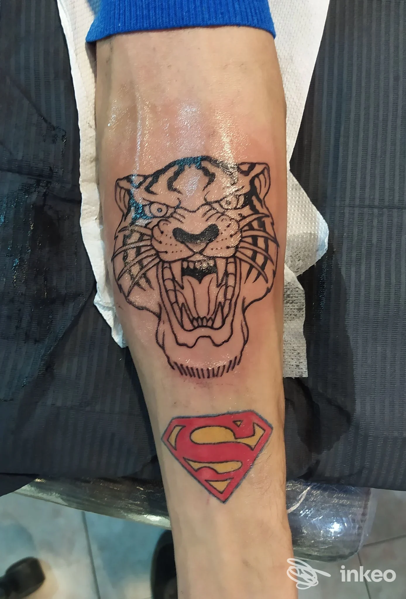 Tatuaggio di testa di tigre in nero e logo Superman colorato sull'avambraccio, realizzato presso Xois Tattoo Studio a Manduria.