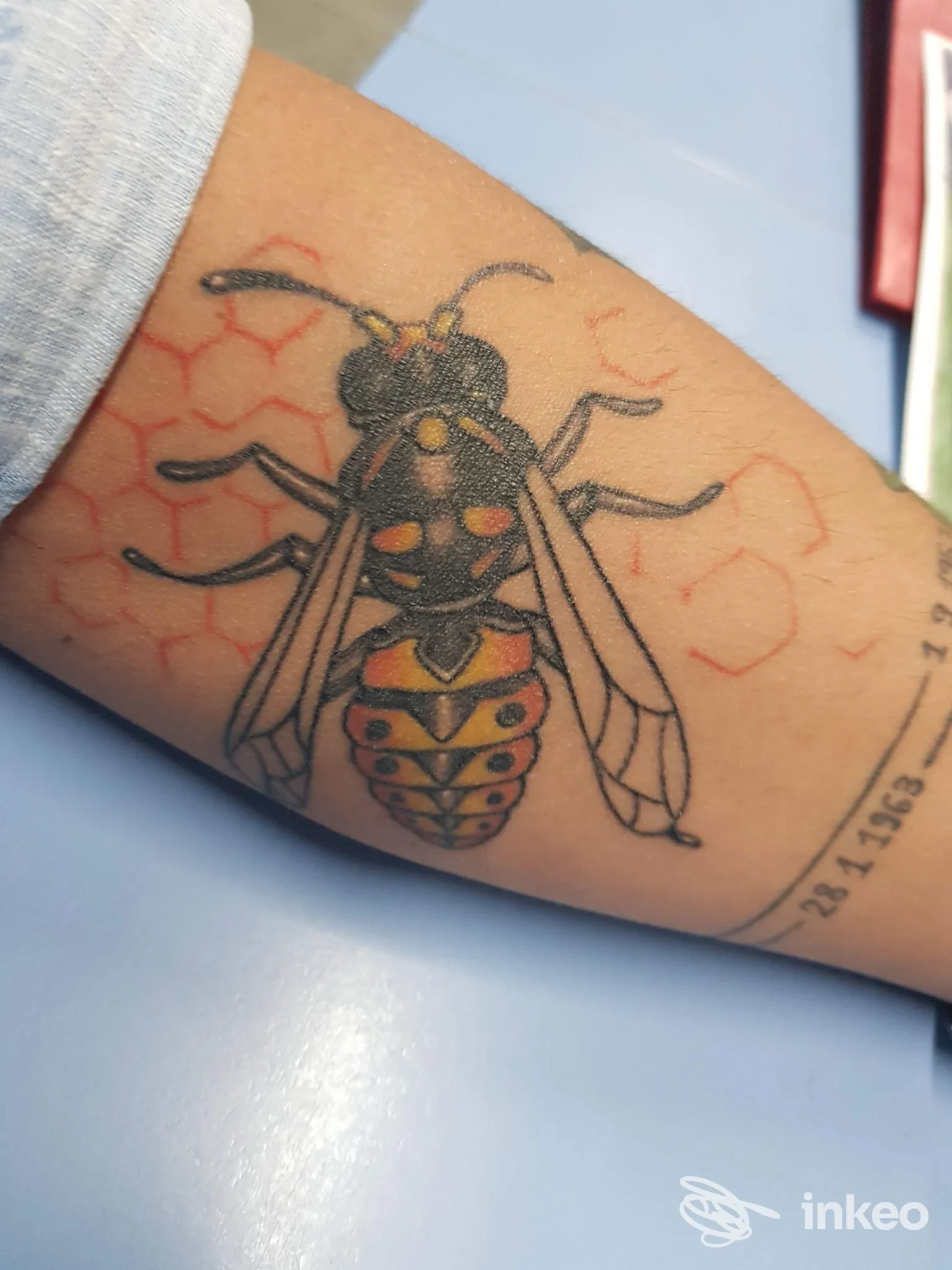 Tatuaggio a forma di vespa colorata sull'avambraccio, Blue Mind Tattoo, Presicce-Acquarica.