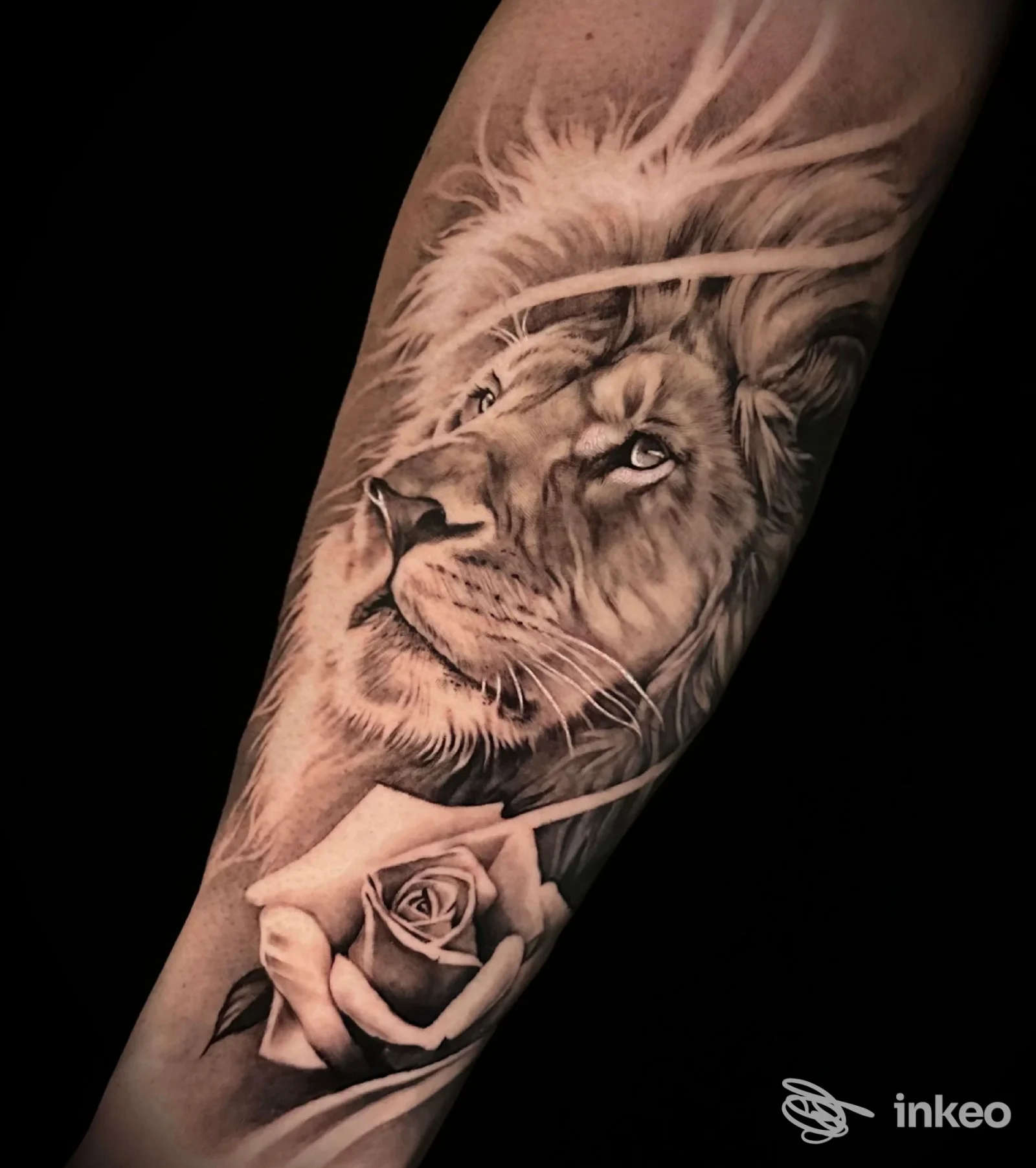 Tatuaggio realistico su avambraccio con testa di leone e rosa, opera mostrata dallo studio Her_tattooartist a Cerignola.