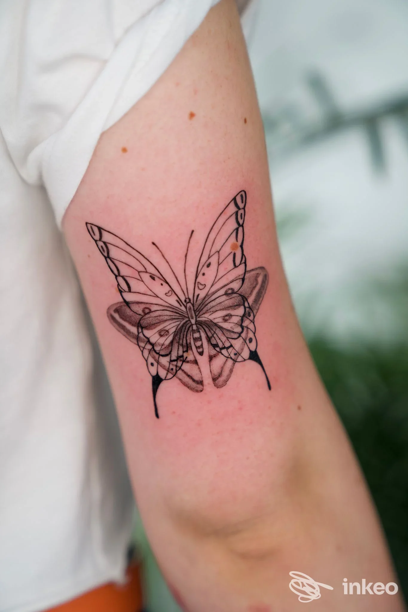 Tattoo su pelle visibile di una farfalla stilizzata, posizionata sulla parte superiore del braccio, senza testo o elementi esterni.