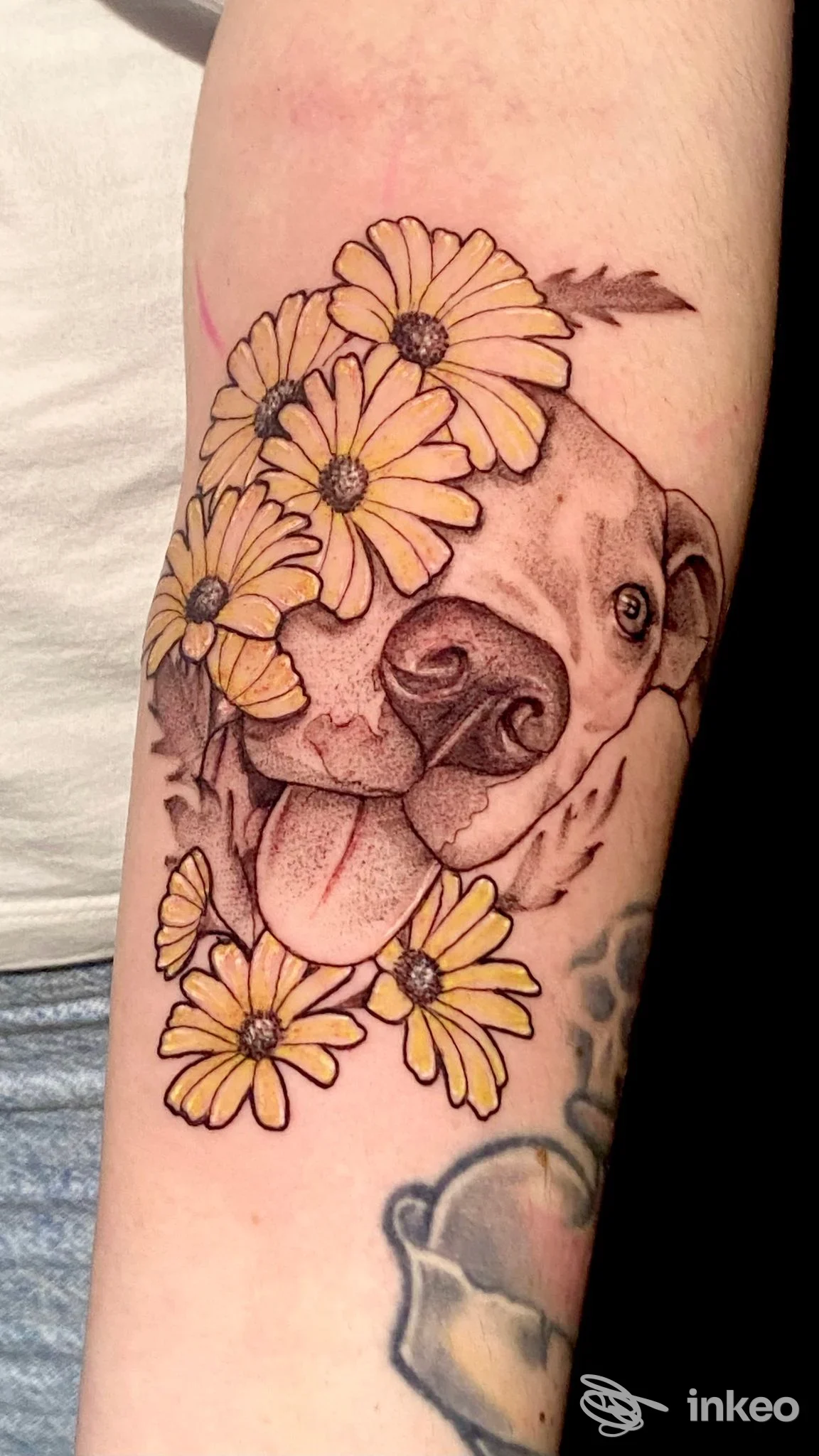 Tatuaggio su avambraccio con muso di cane e margherite, realizzato da Ink Master Tattoo & Piercing a Giovinazzo.