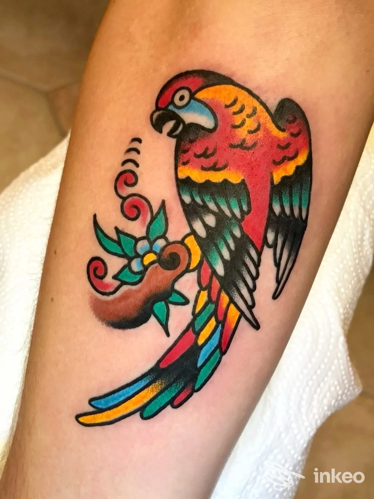 Tatuaggio di pappagallo colorato sull'avambraccio, Last Call Tattoo, Lecce.