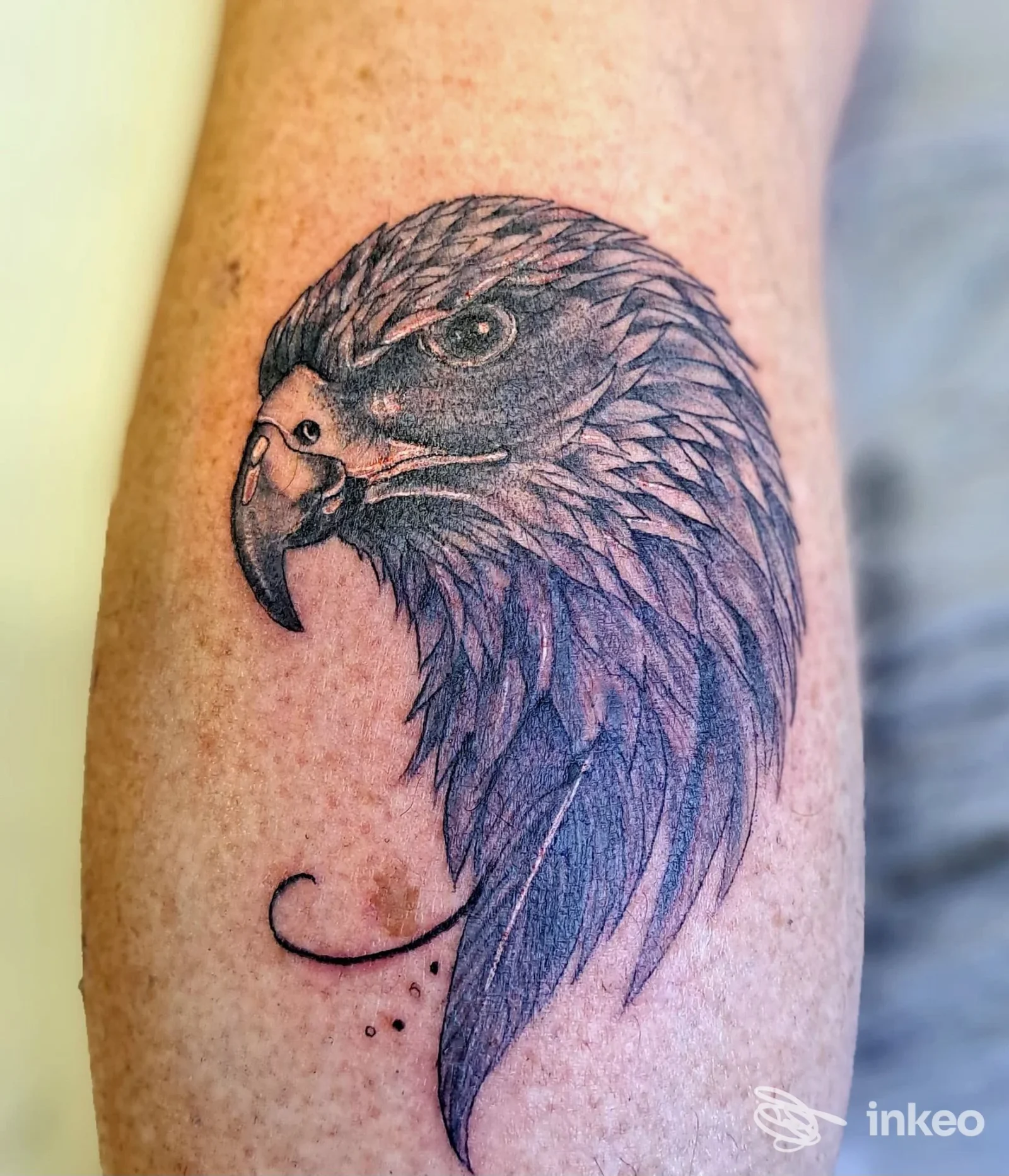 Tatuaggio di testa d'aquila in bianco e nero sull'avambraccio, lavoro presentato da Michelle Tattoo a Leporano.