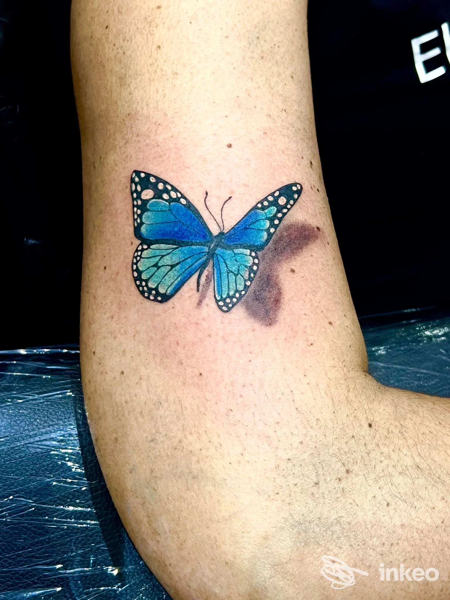 Tatuaggio di una farfalla blu sull'area interna del braccio, Michelle Tattoo, Leporano.