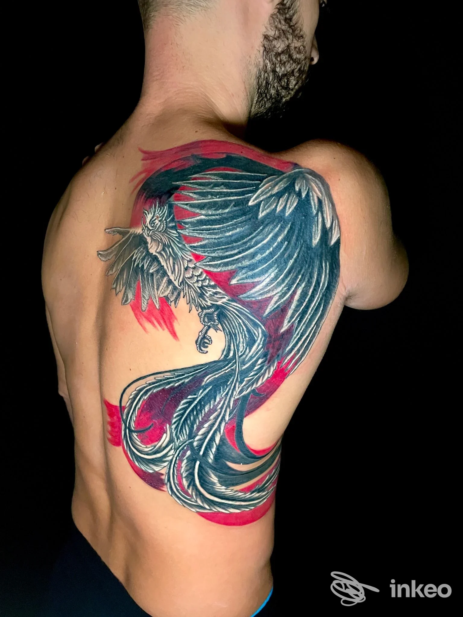 Grande tatuaggio su schiena raffigurante un uccello piumato in nero e rosso, fotografia fornita da Nice Tattoo, Taranto.