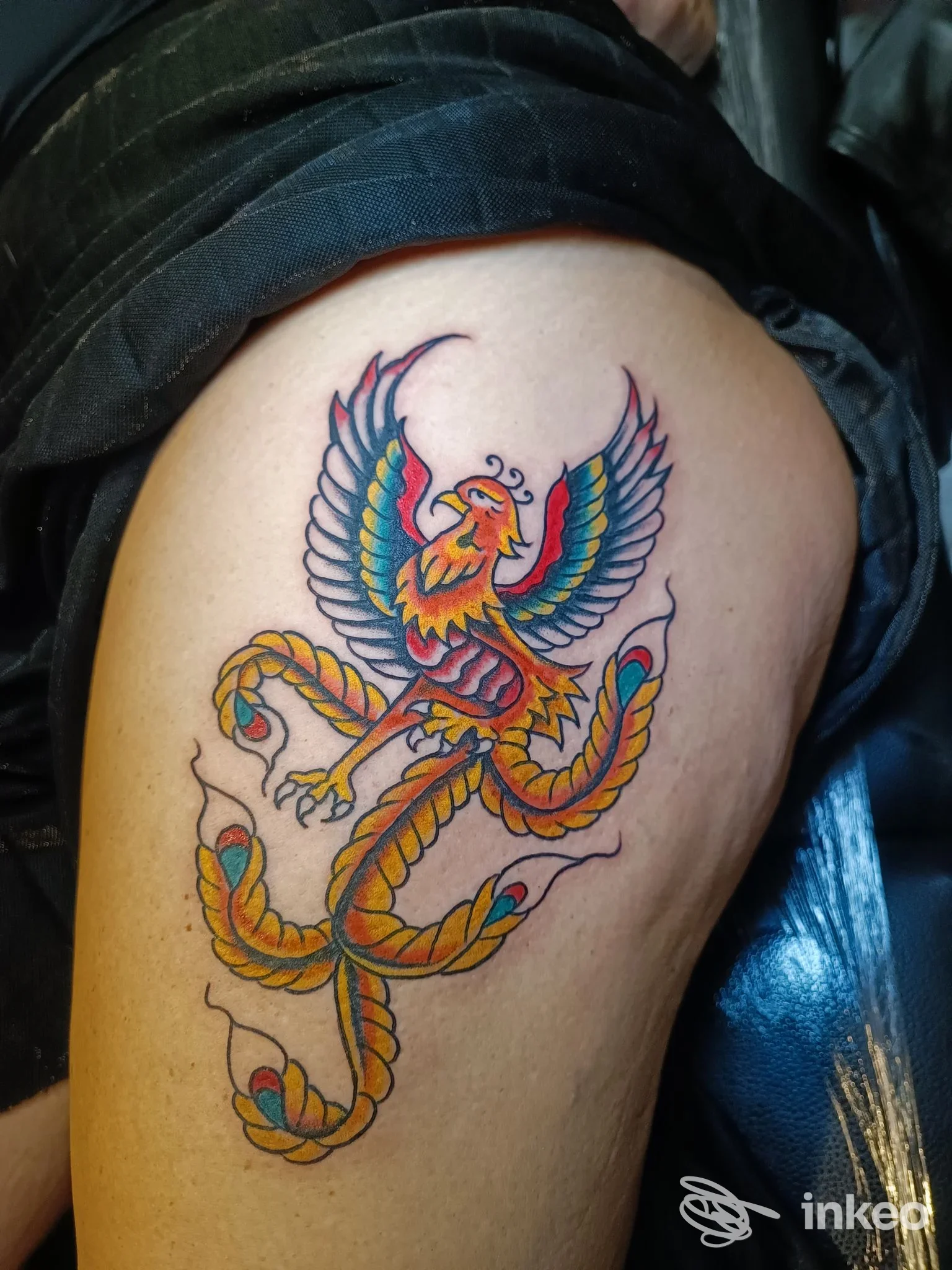Tatuaggio colorato a tema uccello sul braccio superiore, Anima tattoo club, Foggia.