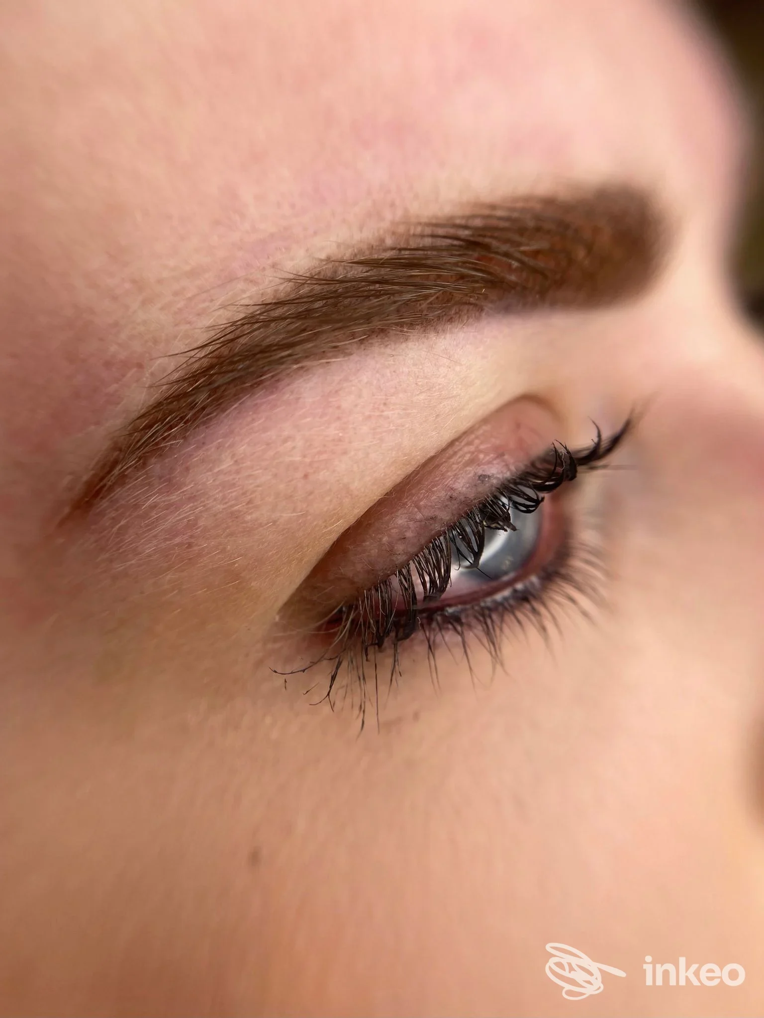 Primo piano di sopracciglio e ciglia con dermopigmentazione, Annalisa Pavone Permanent Make Up Studio, Rutigliano.