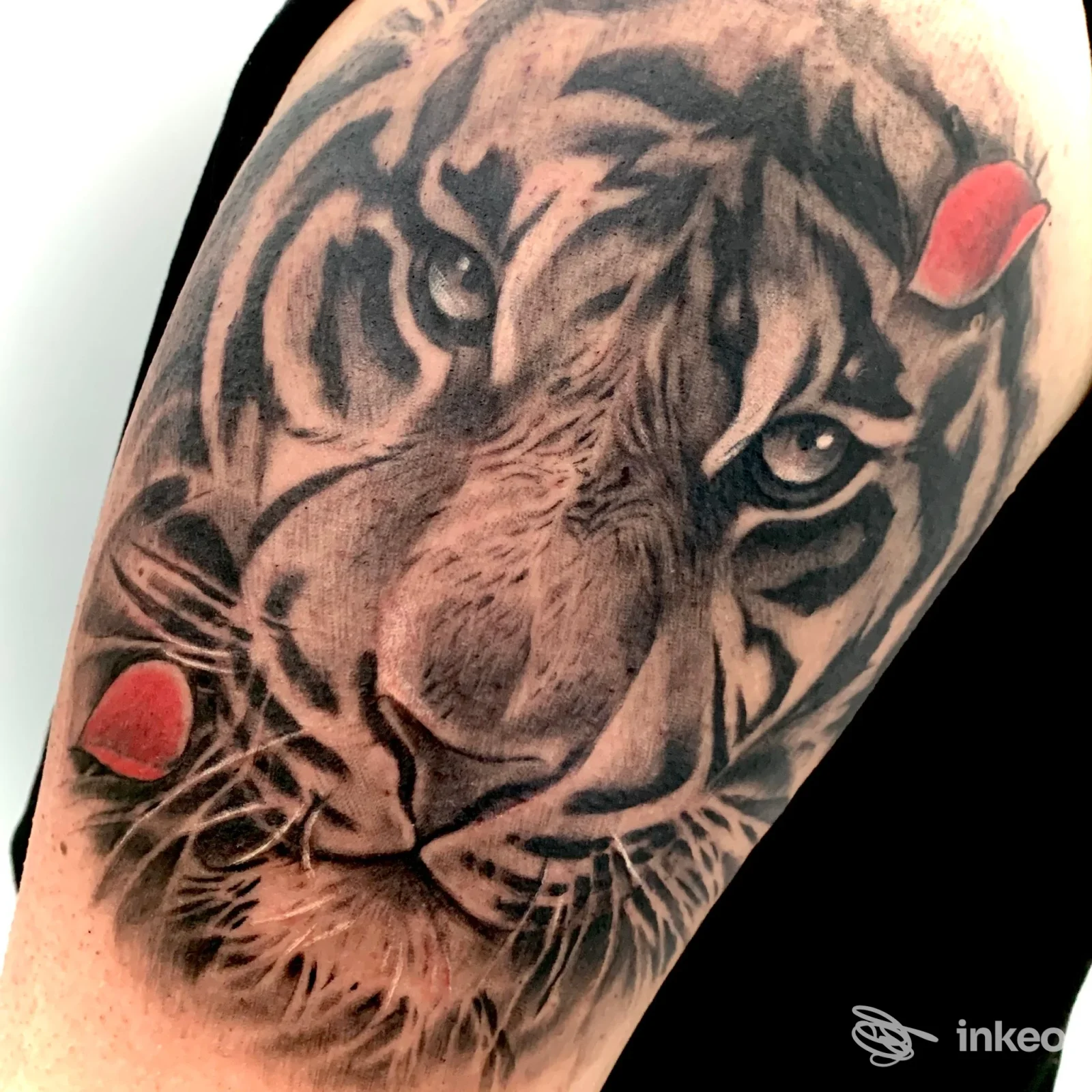 Tatuaggio realistico di testa di tigre sul braccio superiore, con petali rossi, Artink Tattoo Studio, Triggiano.