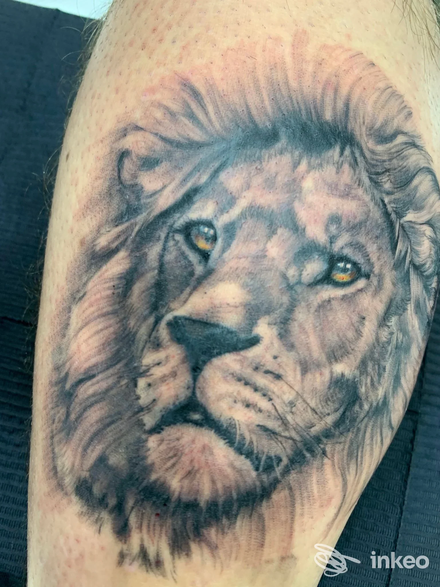 Tatuaggio realistico di testa di leone sulla gamba, realizzato da Black Blood Ink a Taranto, dettagli in bianco e nero con occhi dorati.