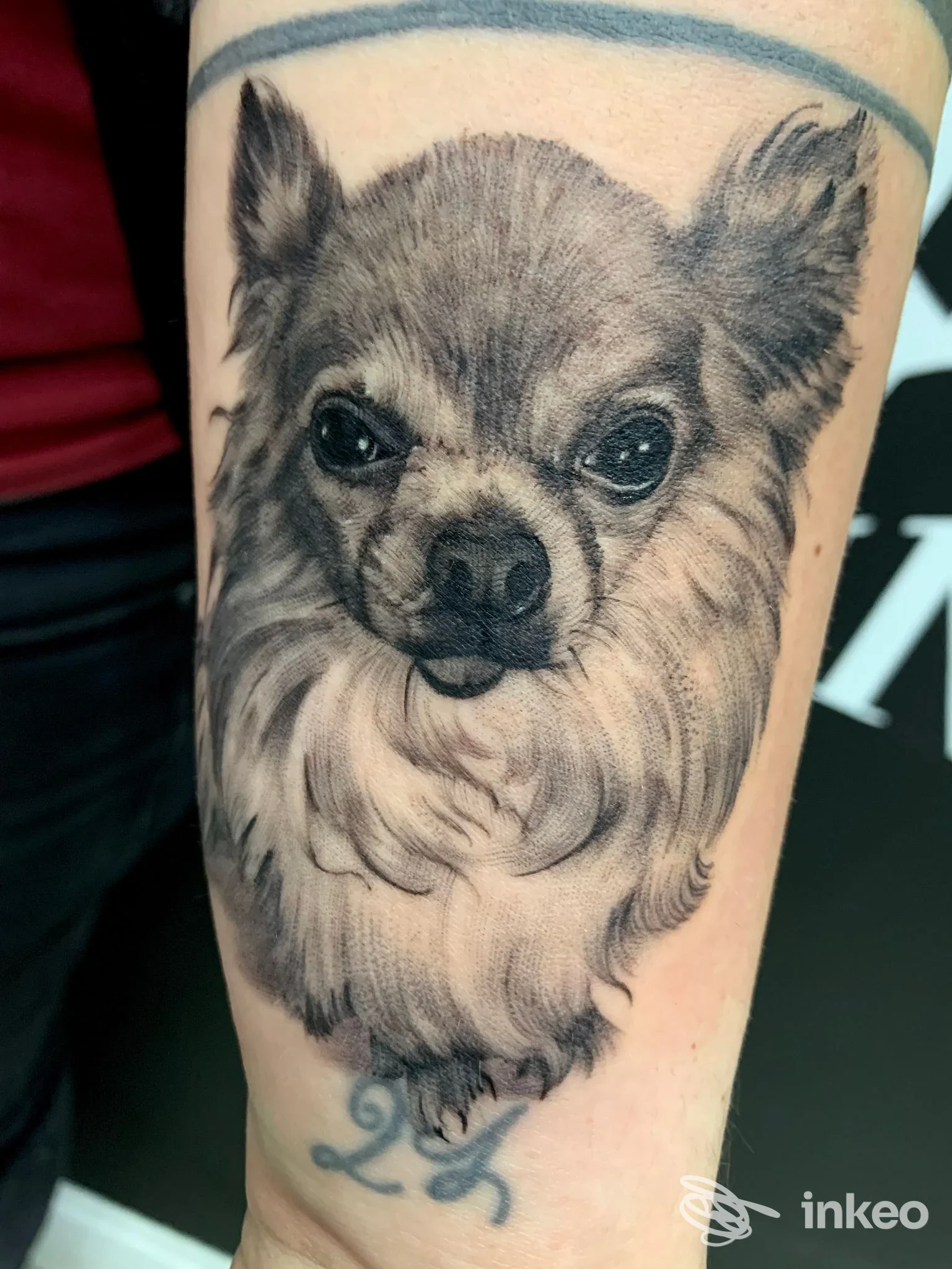 Tatuaggio realistico in bianco e nero raffigurante il volto di un cane sull'avambraccio, Black Blood Ink - Taranto.