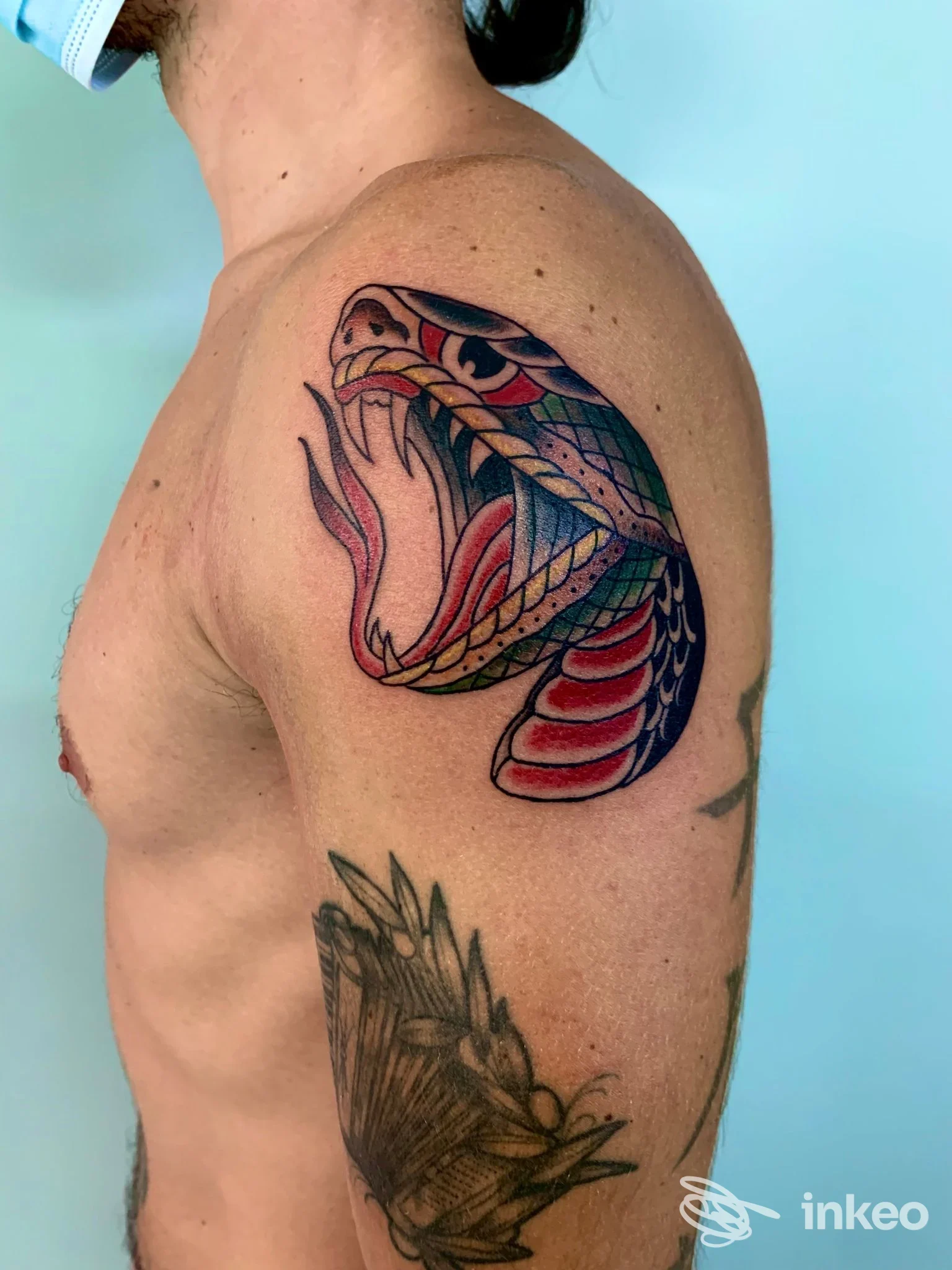 Tatuaggio a testa di serpente colorata sulla spalla e braccio superiore, realizzato da Inked Bastard tattoo studio a Manduria.