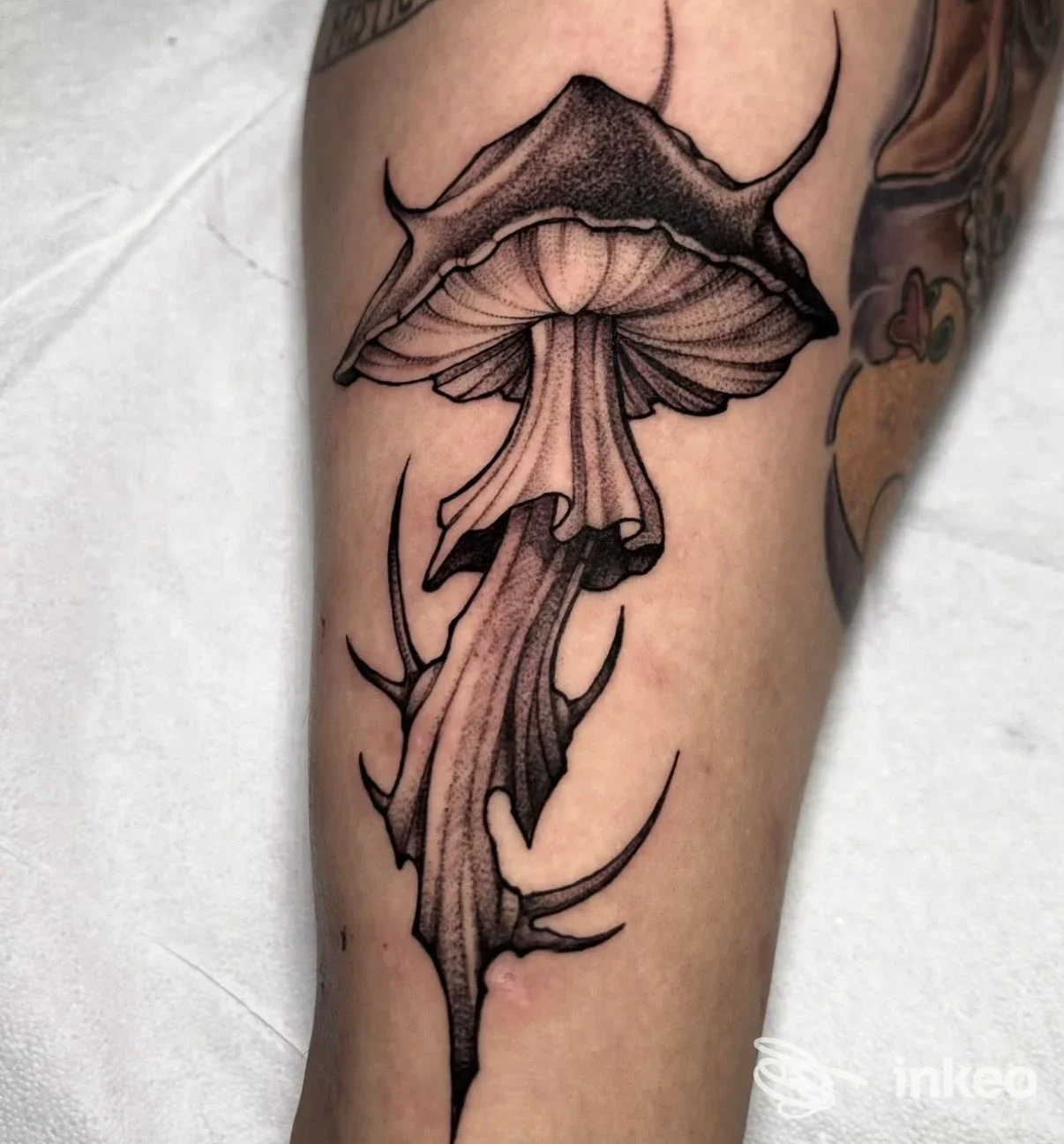 Tatuaggio nero/grigio a forma di fungo sull'avambraccio, lavoro mostrato dallo studio In Cold Blood Tattoo Studio a Taranto.