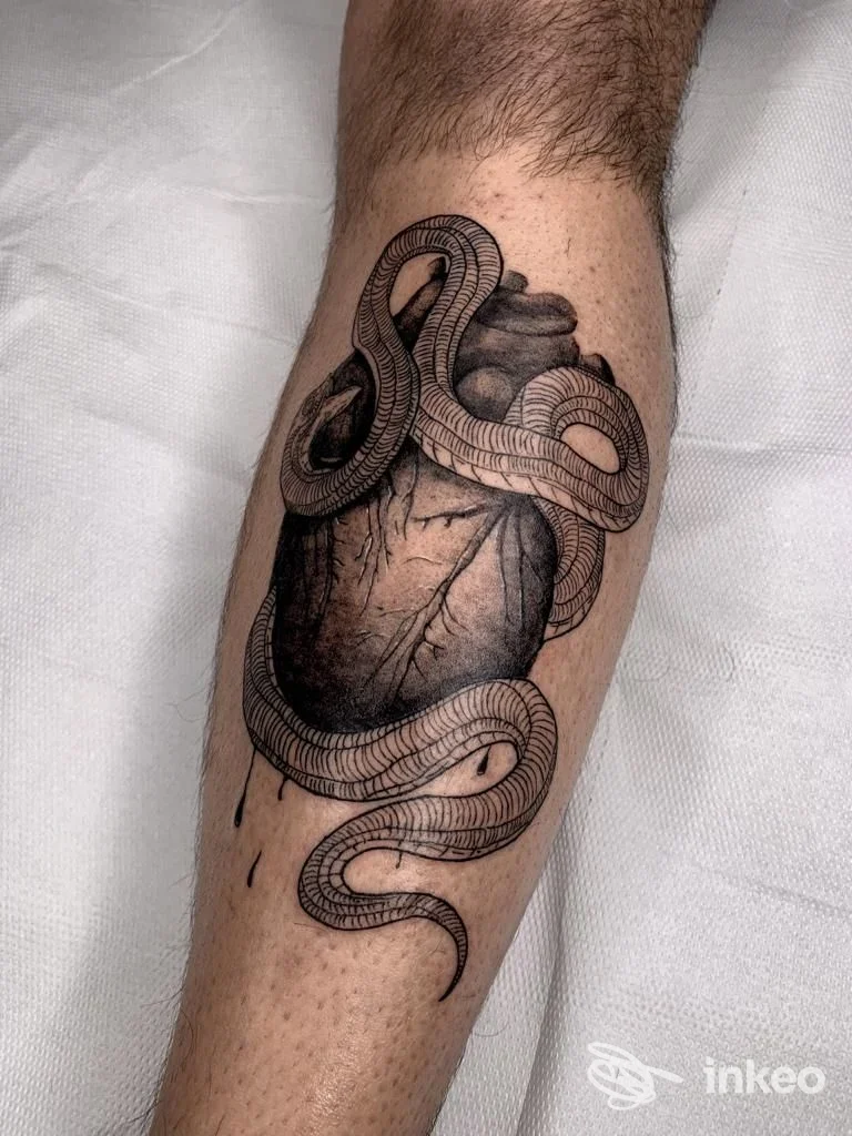 Tatuaggio di cuore anatomico avvolto da serpente sul polpaccio, lavoro eseguito da M N M TATTOO SHOP a Gioia del Colle.