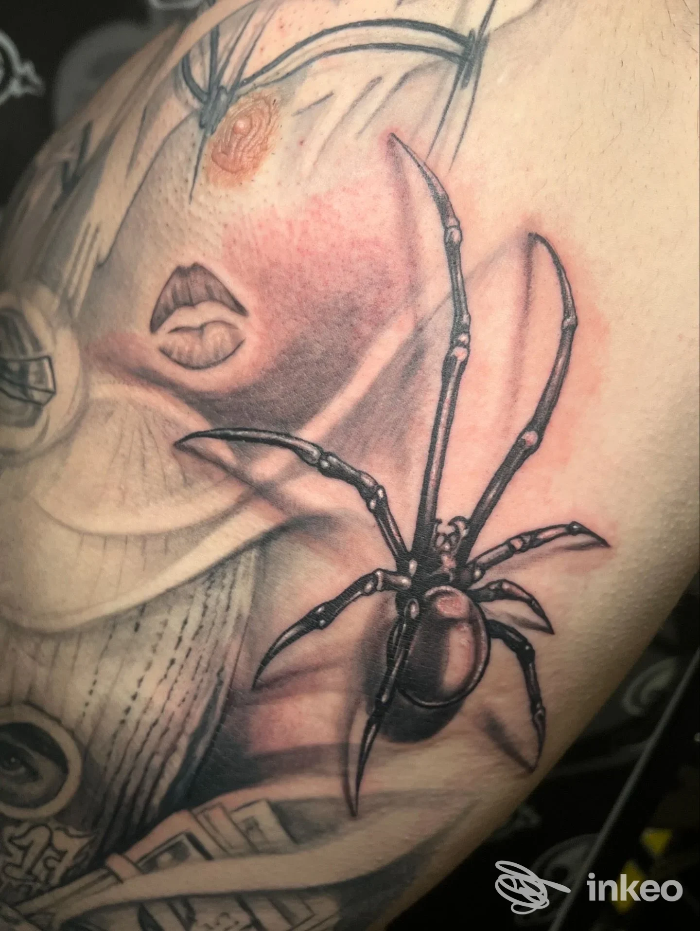 Tatuaggio ragno realistico in bianco e nero su torace/spalla, lavoro recentissimo eseguito da Pamore Tattoo Studio a Capurso.
